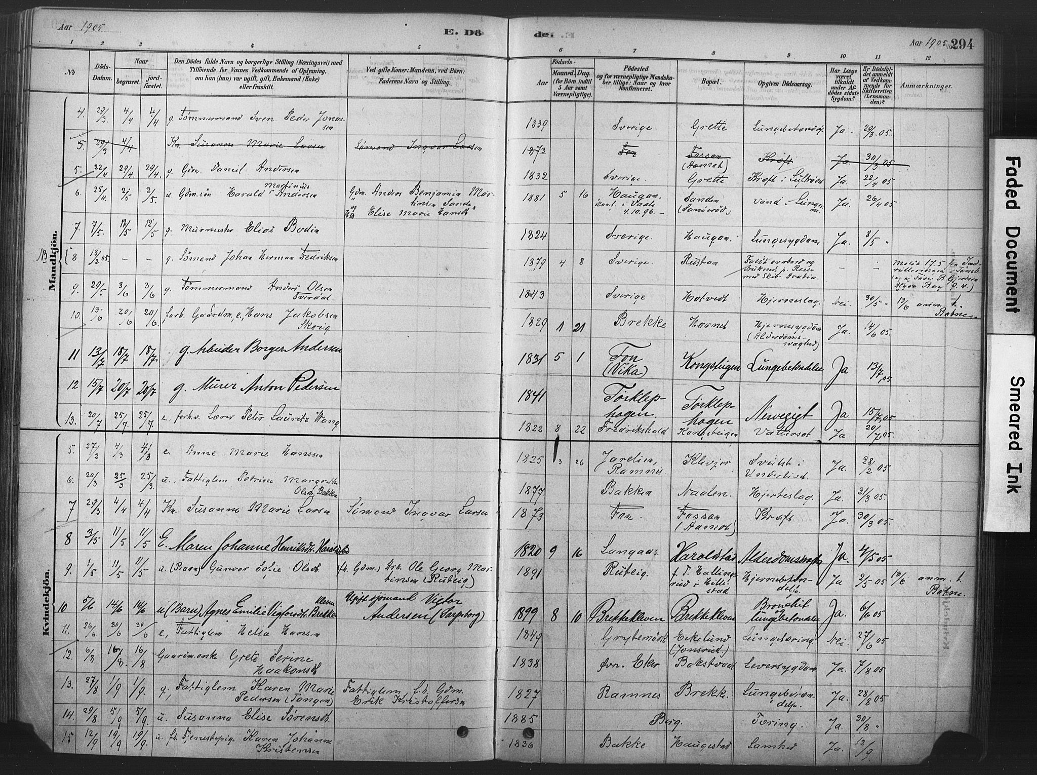 Våle kirkebøker, AV/SAKO-A-334/F/Fa/L0011: Parish register (official) no. I 11, 1878-1906, p. 294