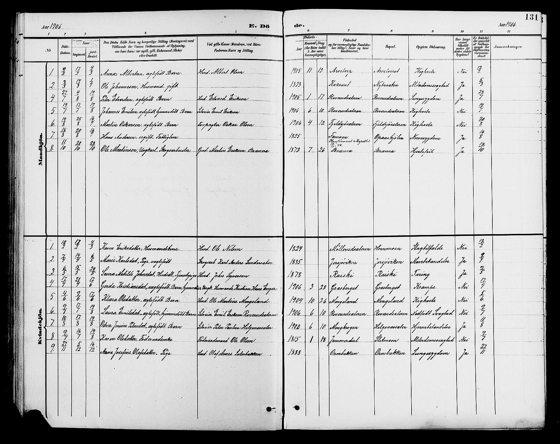 Brandval prestekontor, SAH/PREST-034/H/Ha/Hab/L0001: Parish register (copy) no. 1, 1895-1910, p. 131