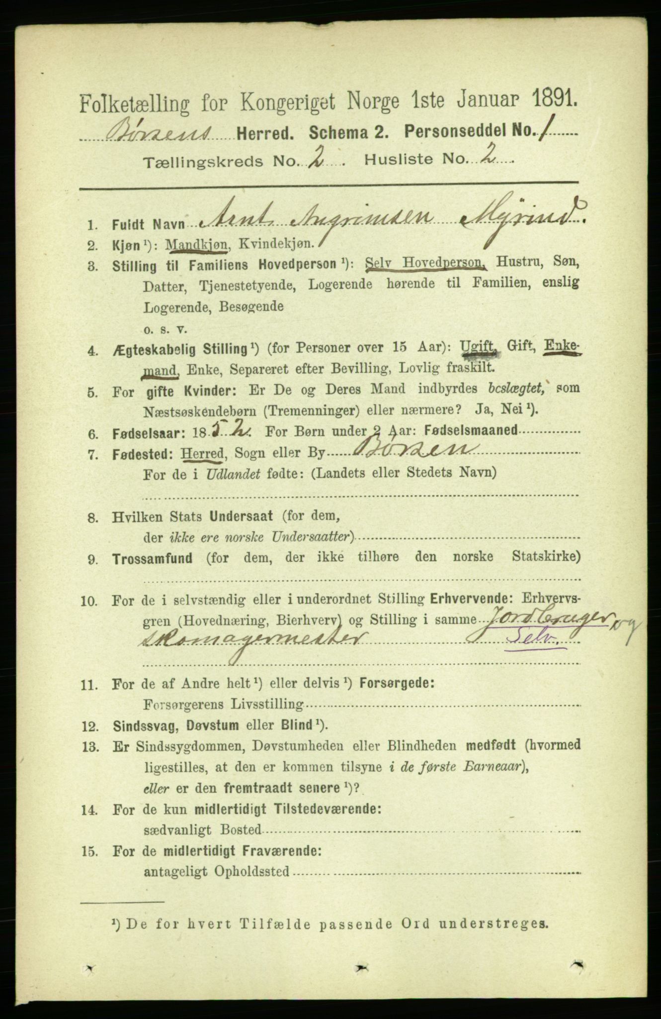 RA, 1891 census for 1658 Børsa, 1891, p. 515