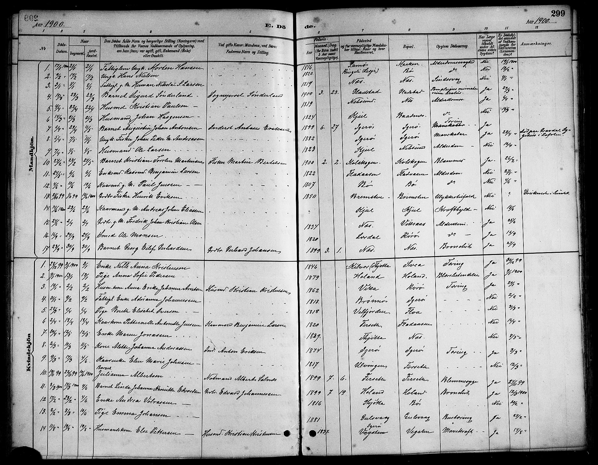 Ministerialprotokoller, klokkerbøker og fødselsregistre - Nordland, SAT/A-1459/816/L0253: Parish register (copy) no. 816C03, 1886-1905, p. 299