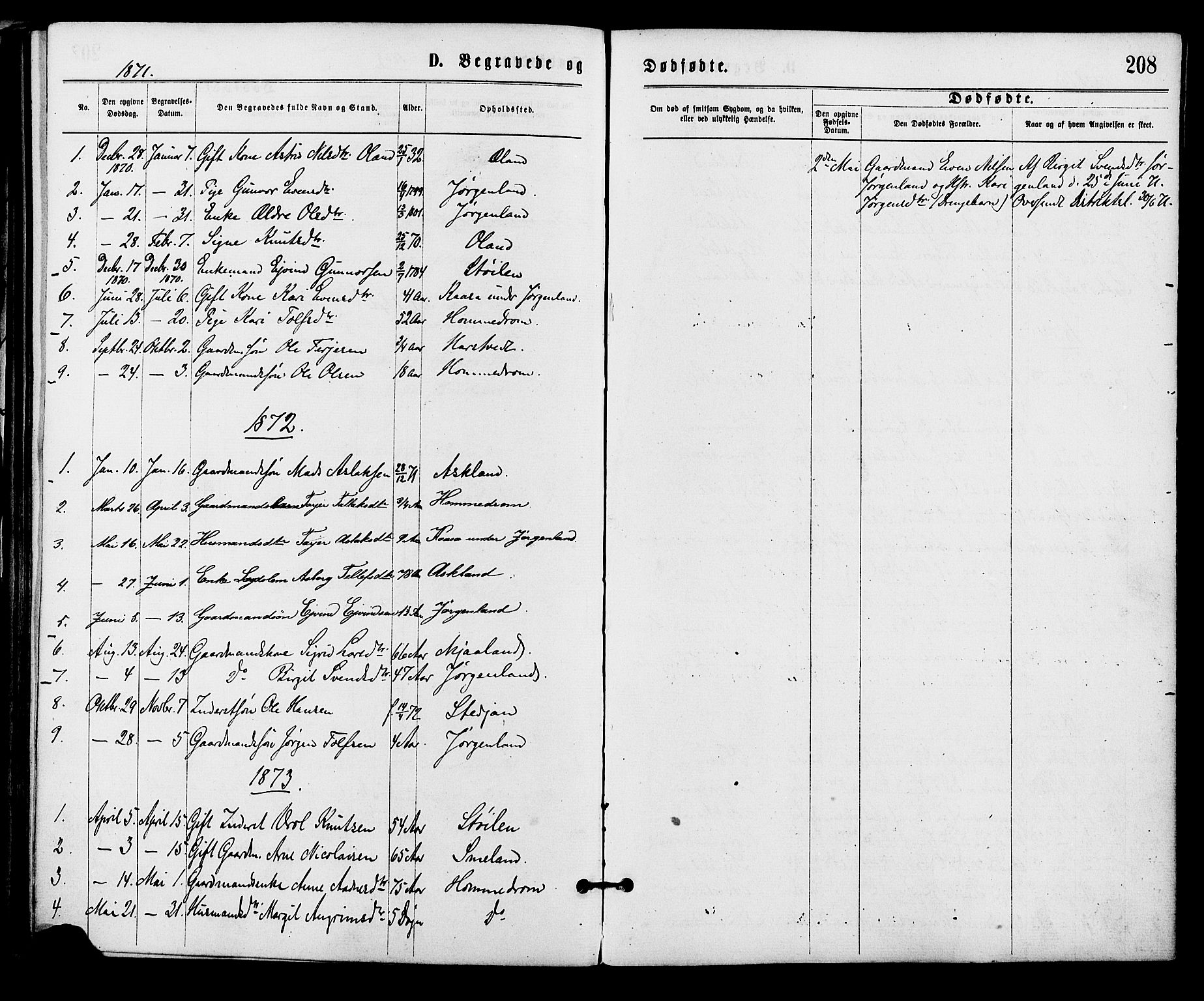 Åmli sokneprestkontor, SAK/1111-0050/F/Fa/Fac/L0009: Parish register (official) no. A 9 /2, 1869-1884, p. 208