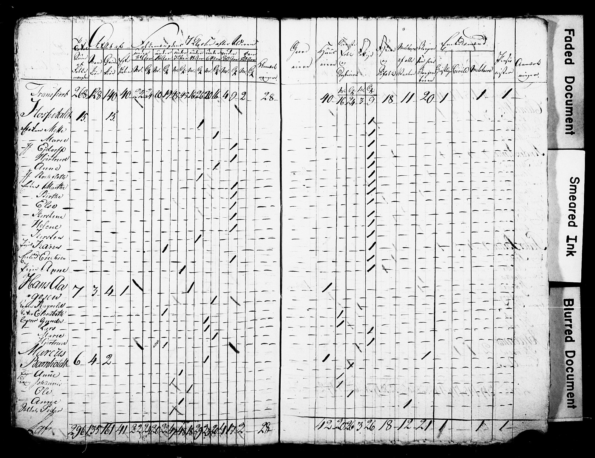 LOK, Census 1815 for Skien, 1815, p. 45