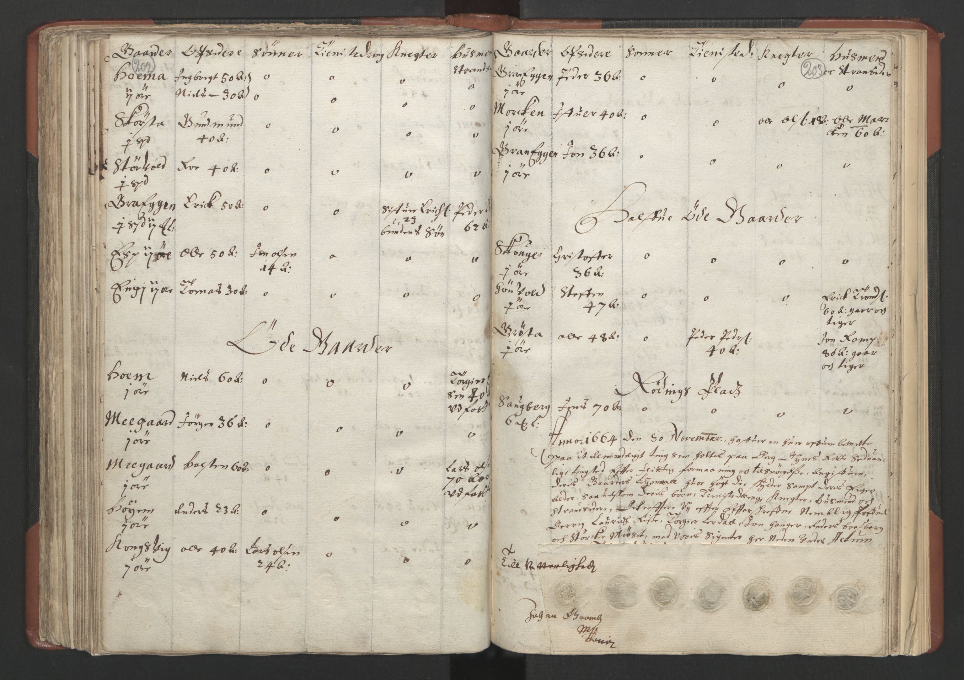 RA, Bailiff's Census 1664-1666, no. 18: Gauldal fogderi, Strinda fogderi and Orkdal fogderi, 1664, p. 202-203