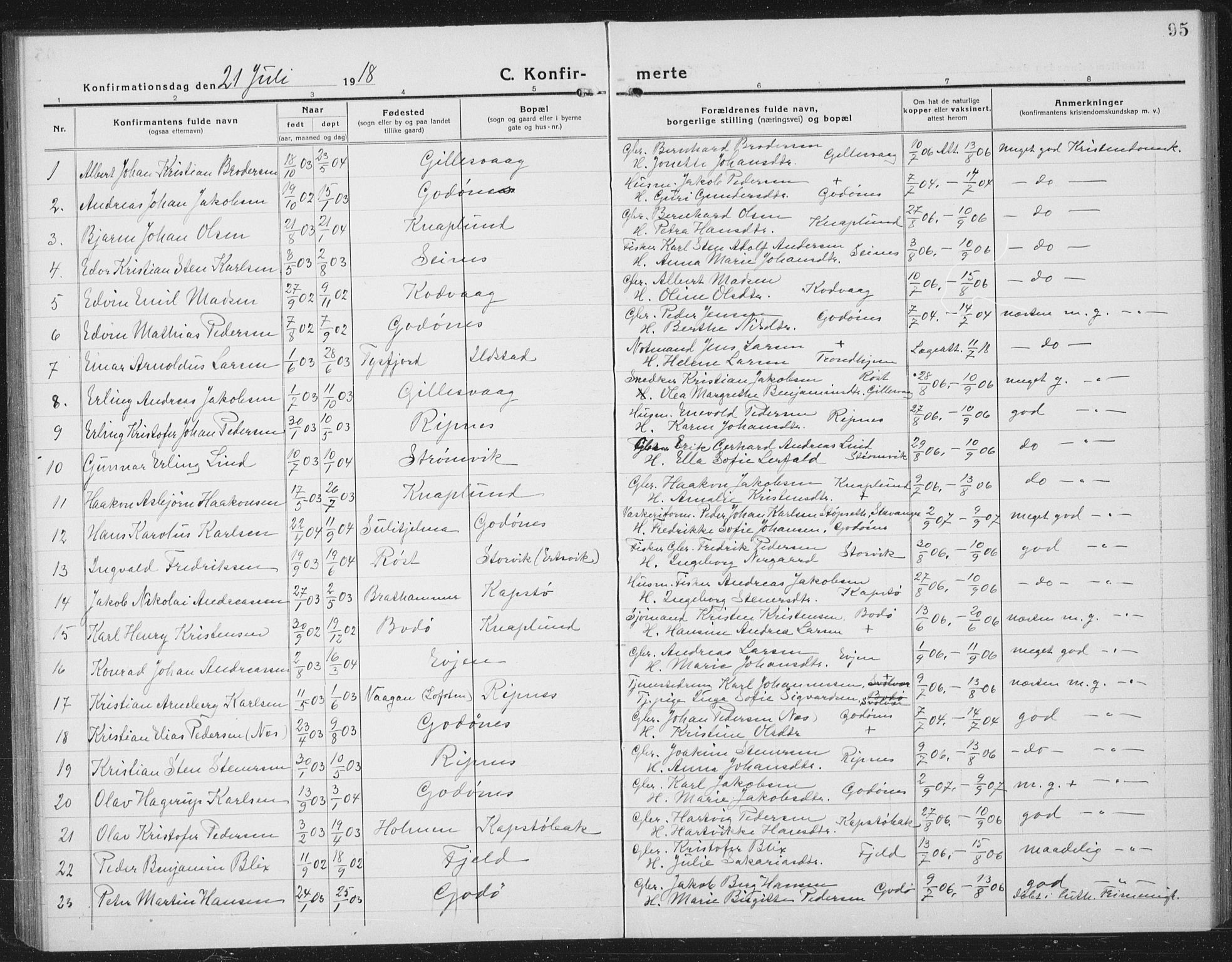 Ministerialprotokoller, klokkerbøker og fødselsregistre - Nordland, SAT/A-1459/804/L0089: Parish register (copy) no. 804C02, 1918-1935, p. 95