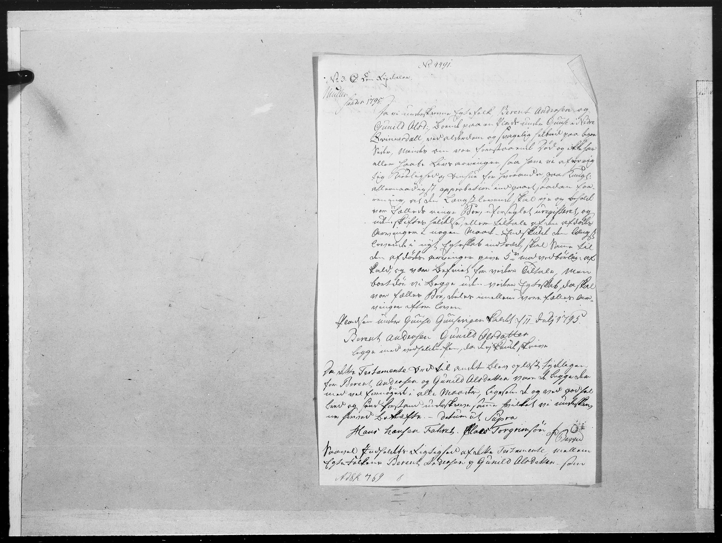 Danske Kanselli 1572-1799, AV/RA-EA-3023/F/Fc/Fcc/Fcca/L0302: Norske innlegg 1572-1799, 1795, p. 206