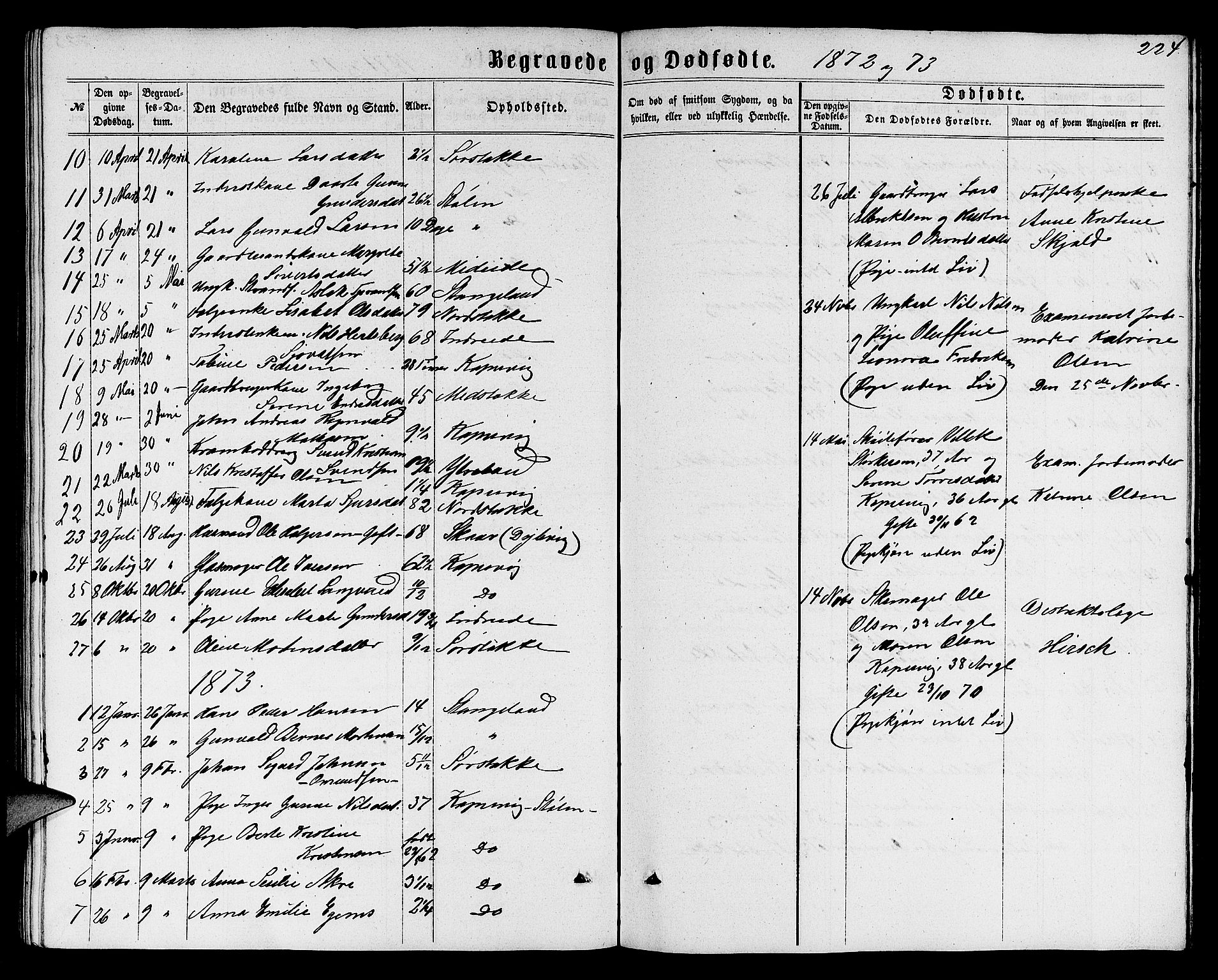 Avaldsnes sokneprestkontor, SAST/A -101851/H/Ha/Hab/L0004: Parish register (copy) no. B 4, 1861-1876, p. 224