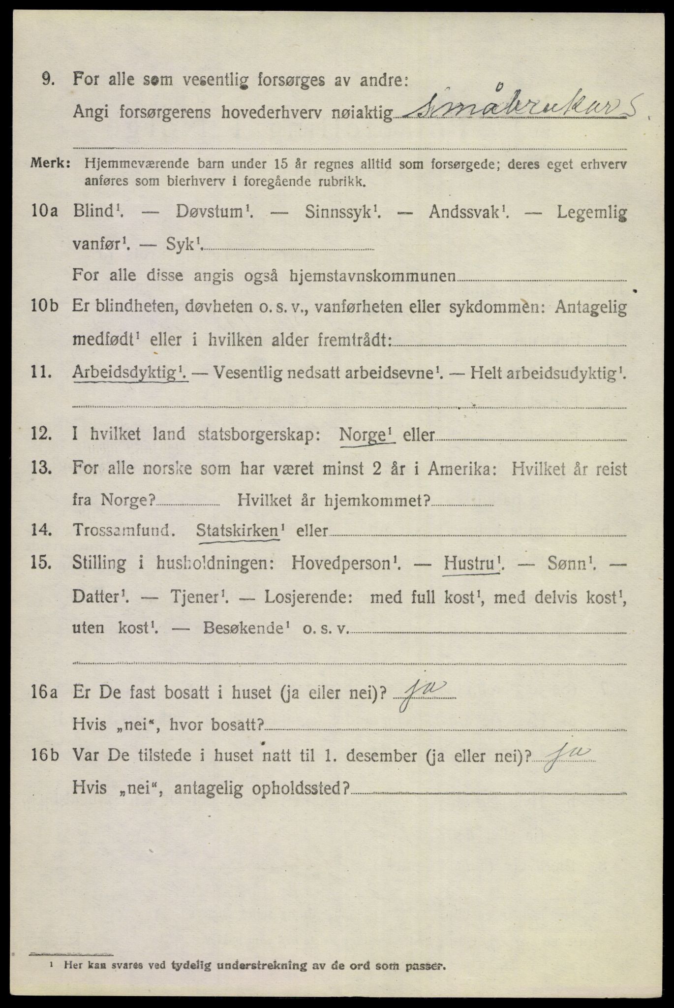 SAKO, 1920 census for Hol (Buskerud), 1920, p. 4932