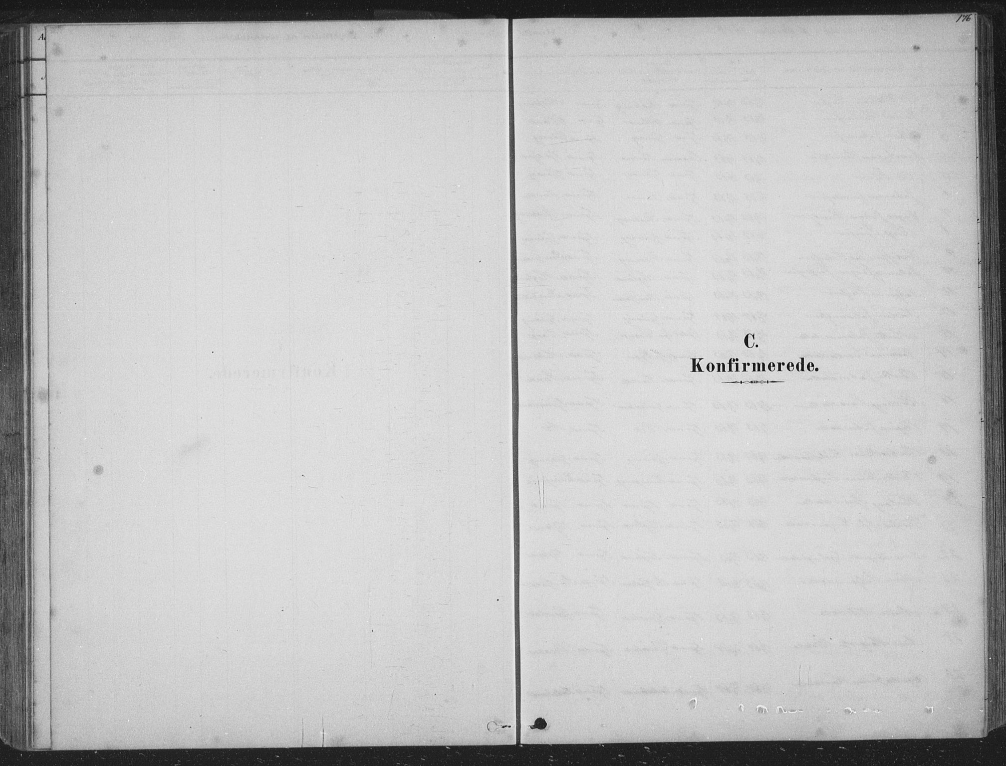 Tysnes sokneprestembete, SAB/A-78601/H/Hab: Parish register (copy) no. B 2, 1878-1918, p. 176