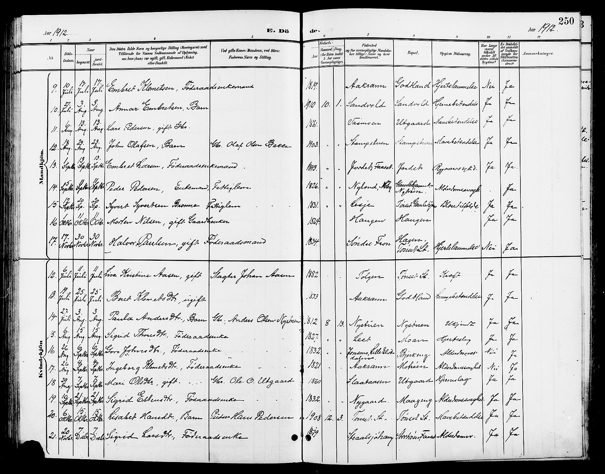 Tynset prestekontor, AV/SAH-PREST-058/H/Ha/Hab/L0009: Parish register (copy) no. 9, 1900-1914, p. 250