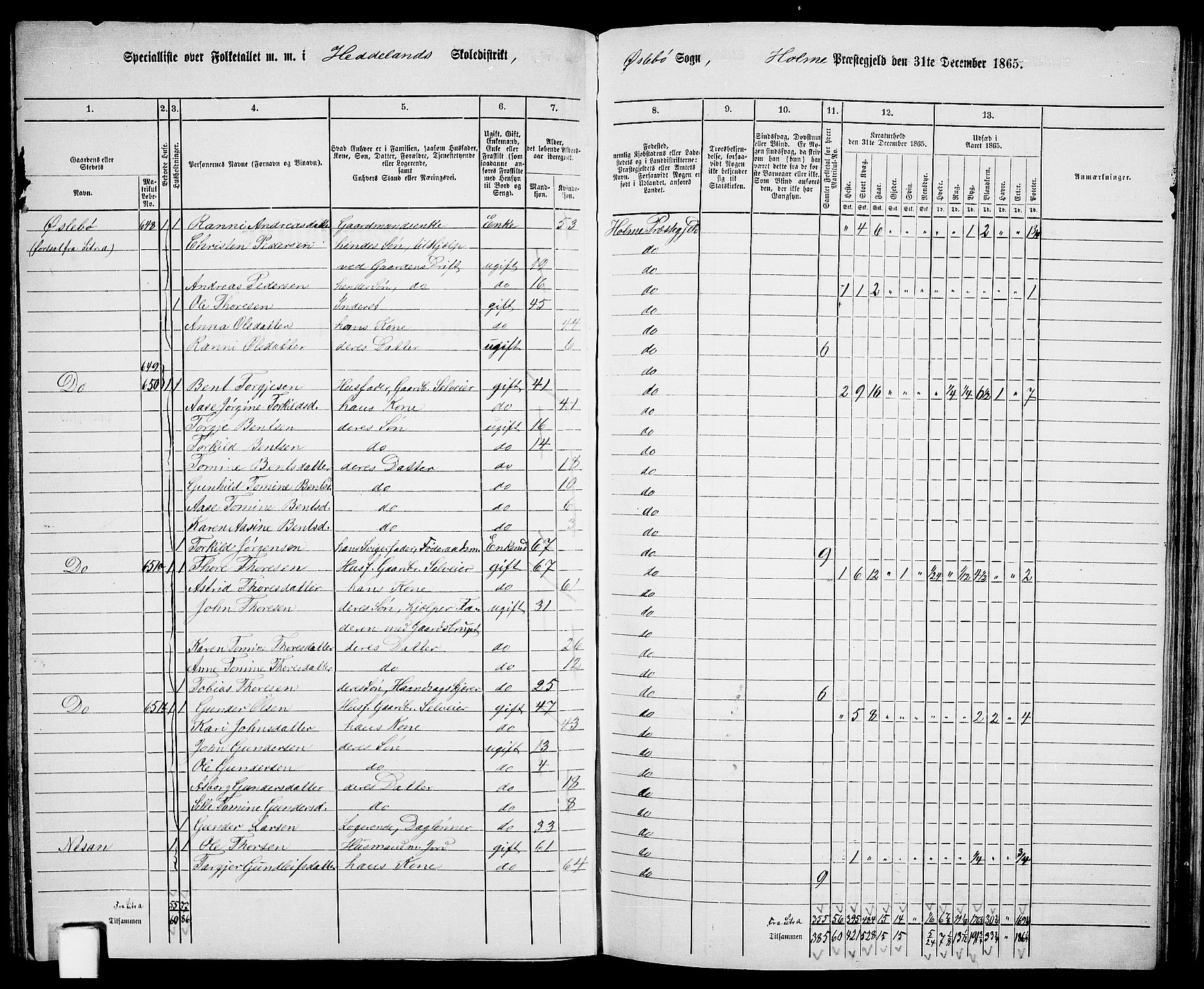 RA, 1865 census for Holum, 1865, p. 102