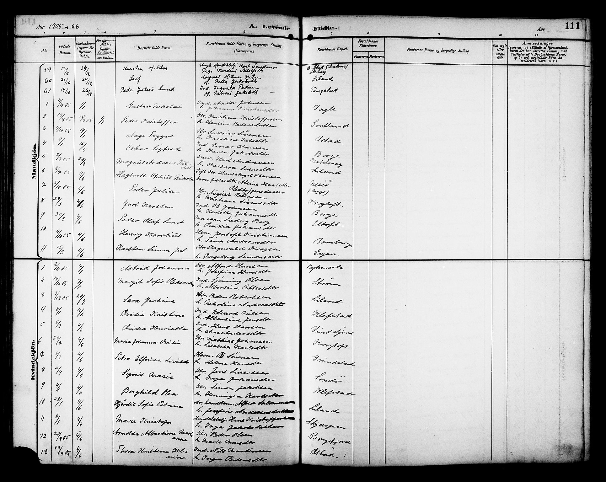 Ministerialprotokoller, klokkerbøker og fødselsregistre - Nordland, AV/SAT-A-1459/880/L1141: Parish register (copy) no. 880C03, 1893-1928, p. 111