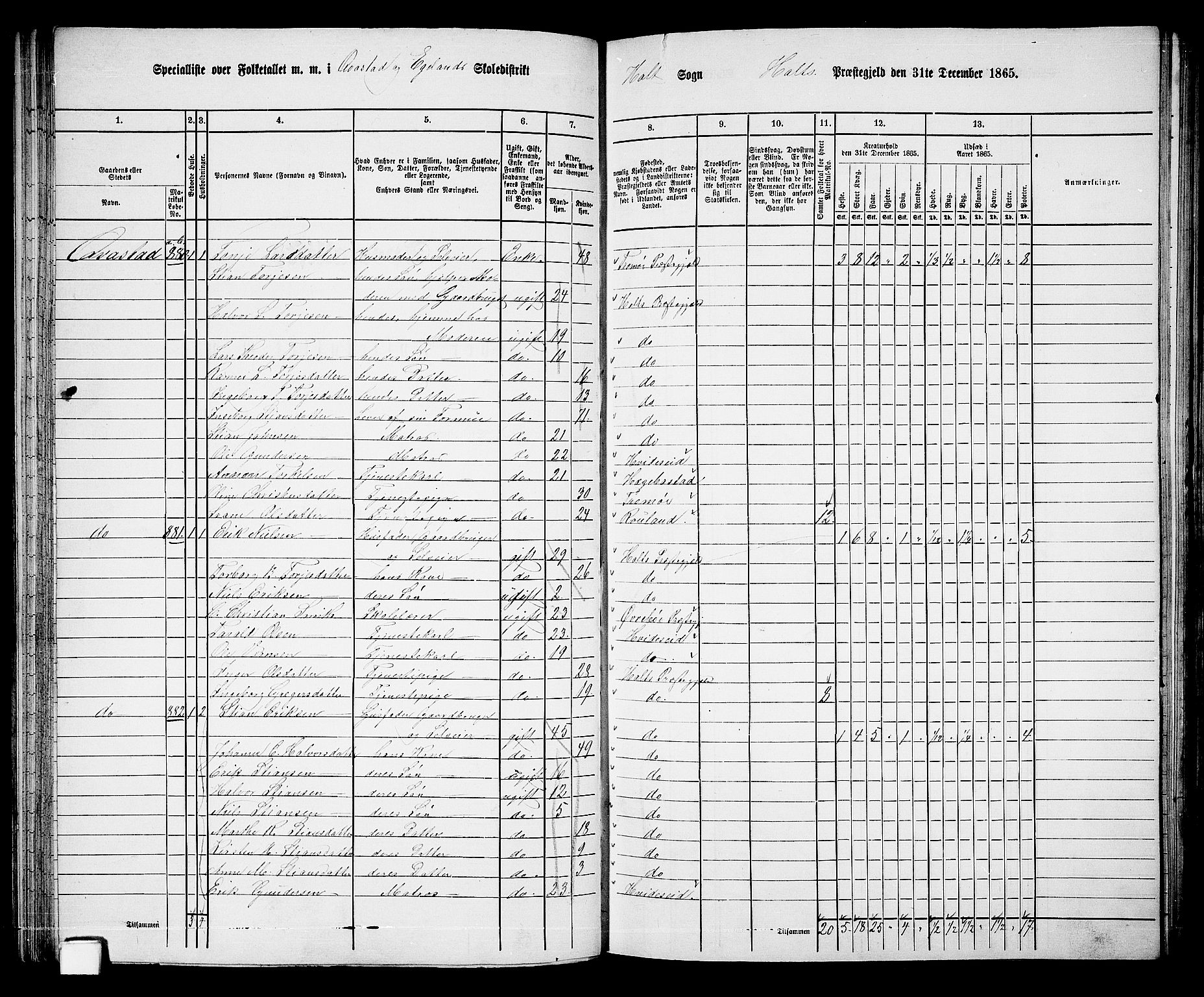 RA, 1865 census for Holt/Holt, 1865, p. 65