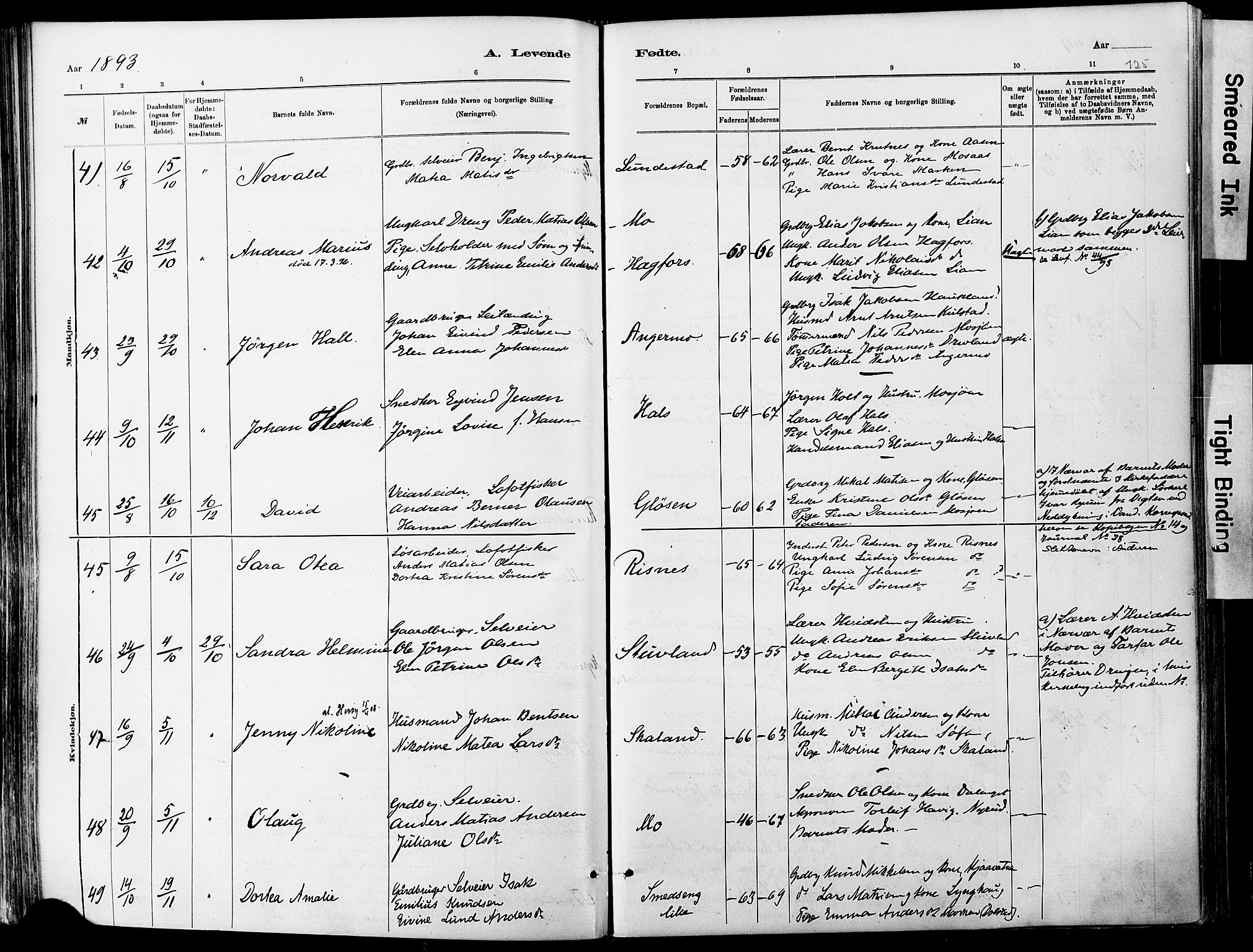 Ministerialprotokoller, klokkerbøker og fødselsregistre - Nordland, AV/SAT-A-1459/820/L0295: Parish register (official) no. 820A16, 1880-1896, p. 125