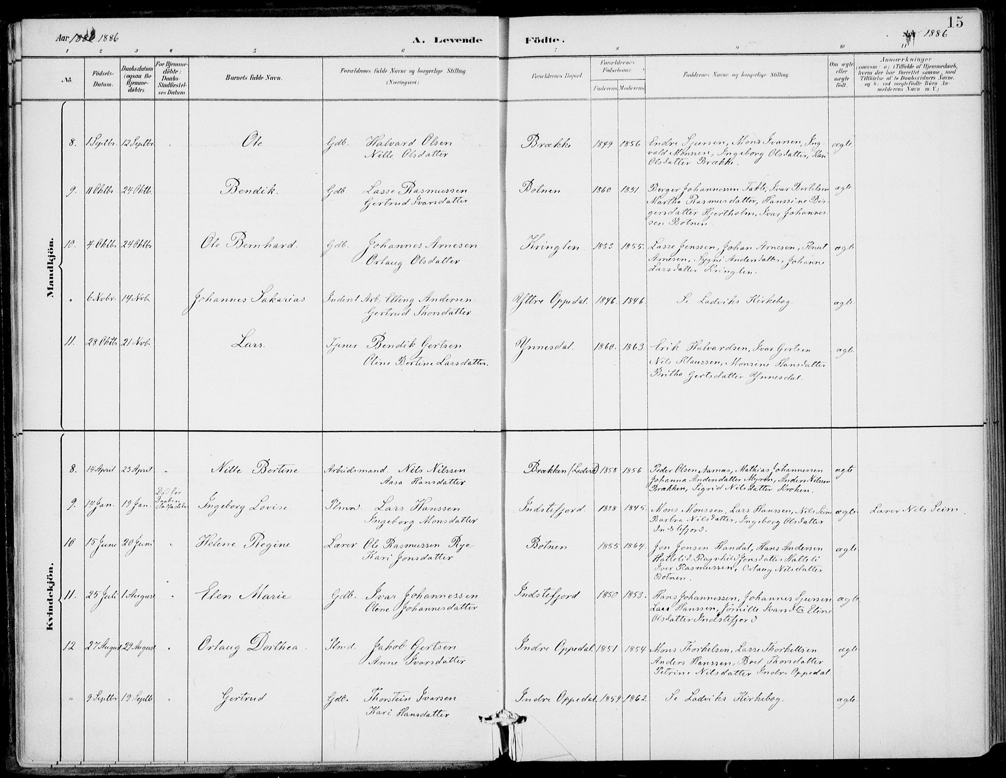 Gulen sokneprestembete, AV/SAB-A-80201/H/Haa/Haac/L0002: Parish register (official) no. C  2, 1882-1914, p. 15