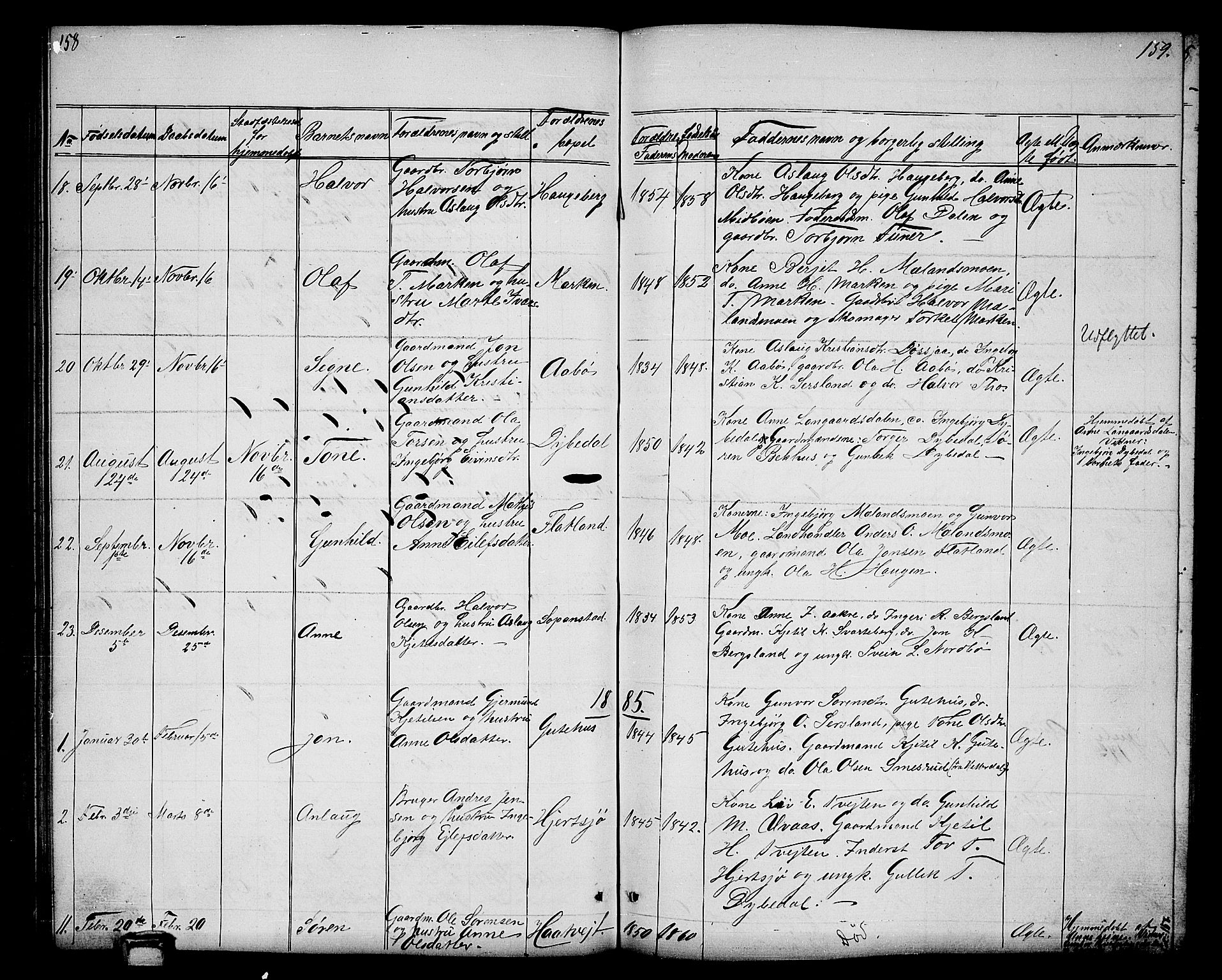 Hjartdal kirkebøker, SAKO/A-270/G/Ga/L0002: Parish register (copy) no. I 2, 1854-1888, p. 158-159