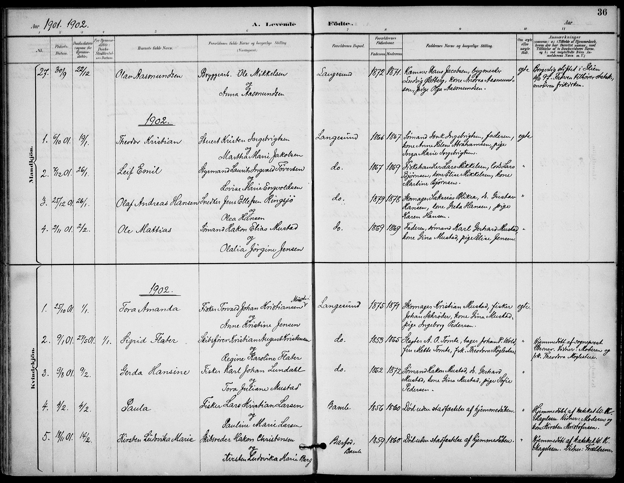 Langesund kirkebøker, SAKO/A-280/F/Fa/L0003: Parish register (official) no. 3, 1893-1907, p. 36