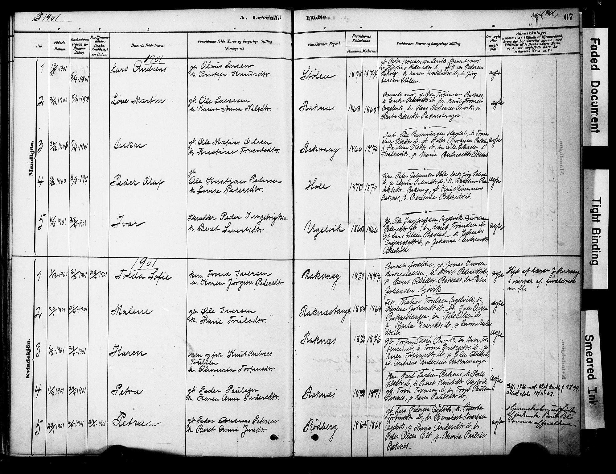 Ministerialprotokoller, klokkerbøker og fødselsregistre - Møre og Romsdal, SAT/A-1454/563/L0736: Parish register (official) no. 563A01, 1878-1903, p. 67