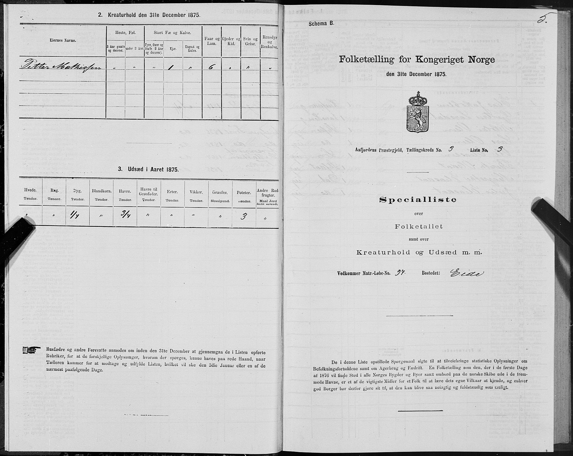 SAT, 1875 census for 1630P Aafjorden, 1875, p. 2005