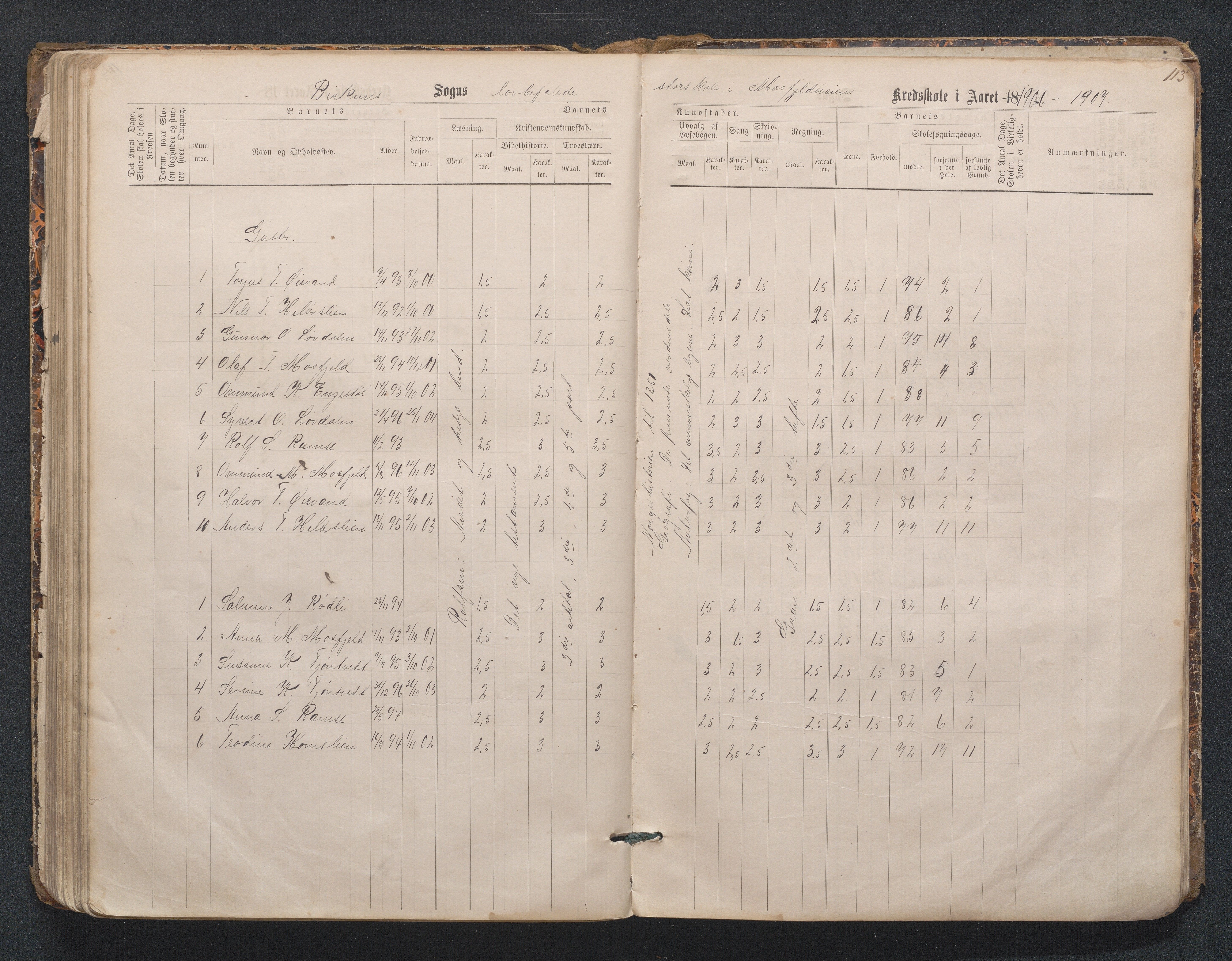 Birkenes kommune, Mosfjell skolekrets, AAKS/KA0928-550f_91/F02/L0001: Skoleprotokoll Flå og Mosfjell, 1867-1909, p. 113