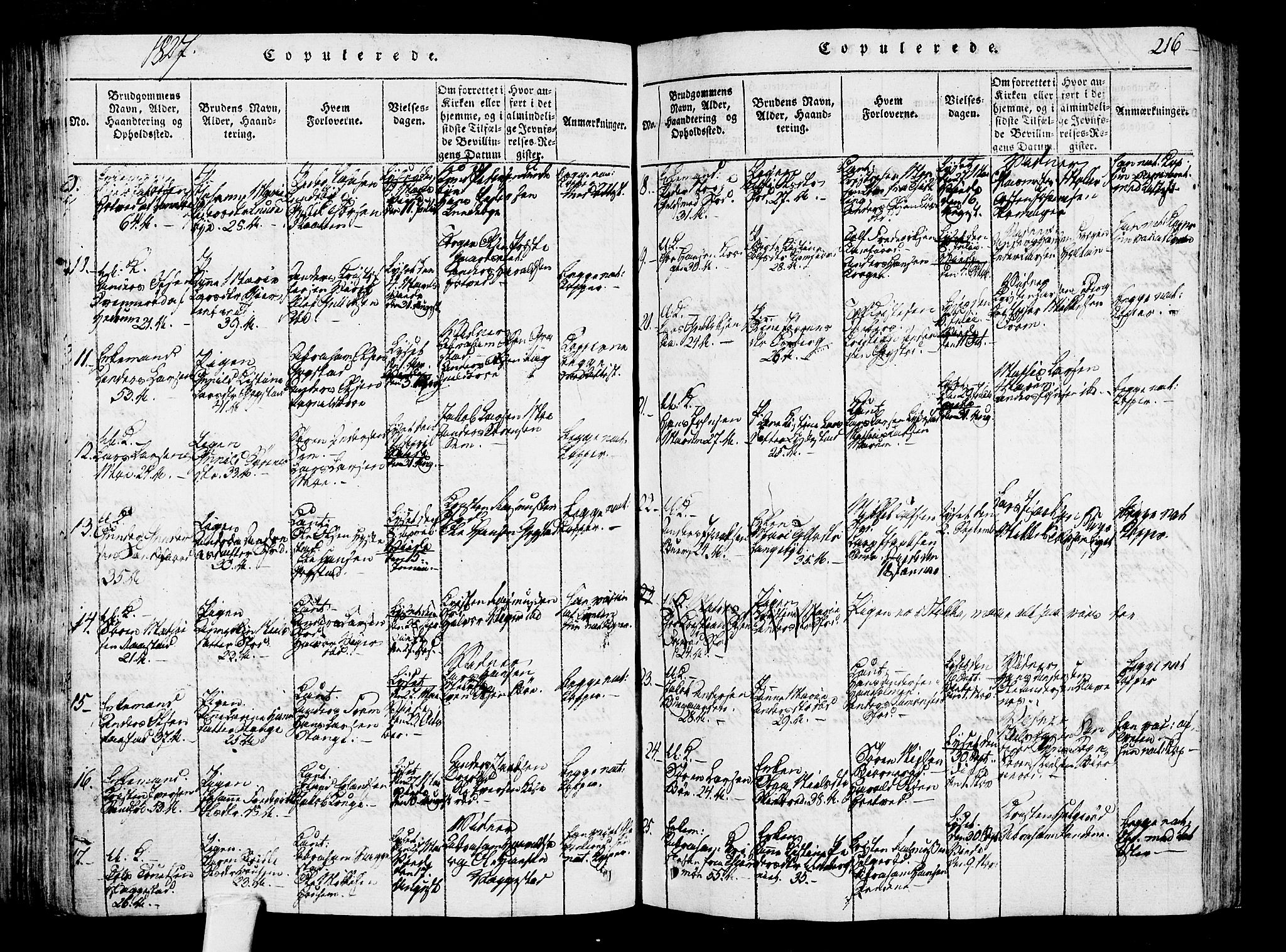 Sandar kirkebøker, AV/SAKO-A-243/F/Fa/L0004: Parish register (official) no. 4, 1814-1832, p. 216