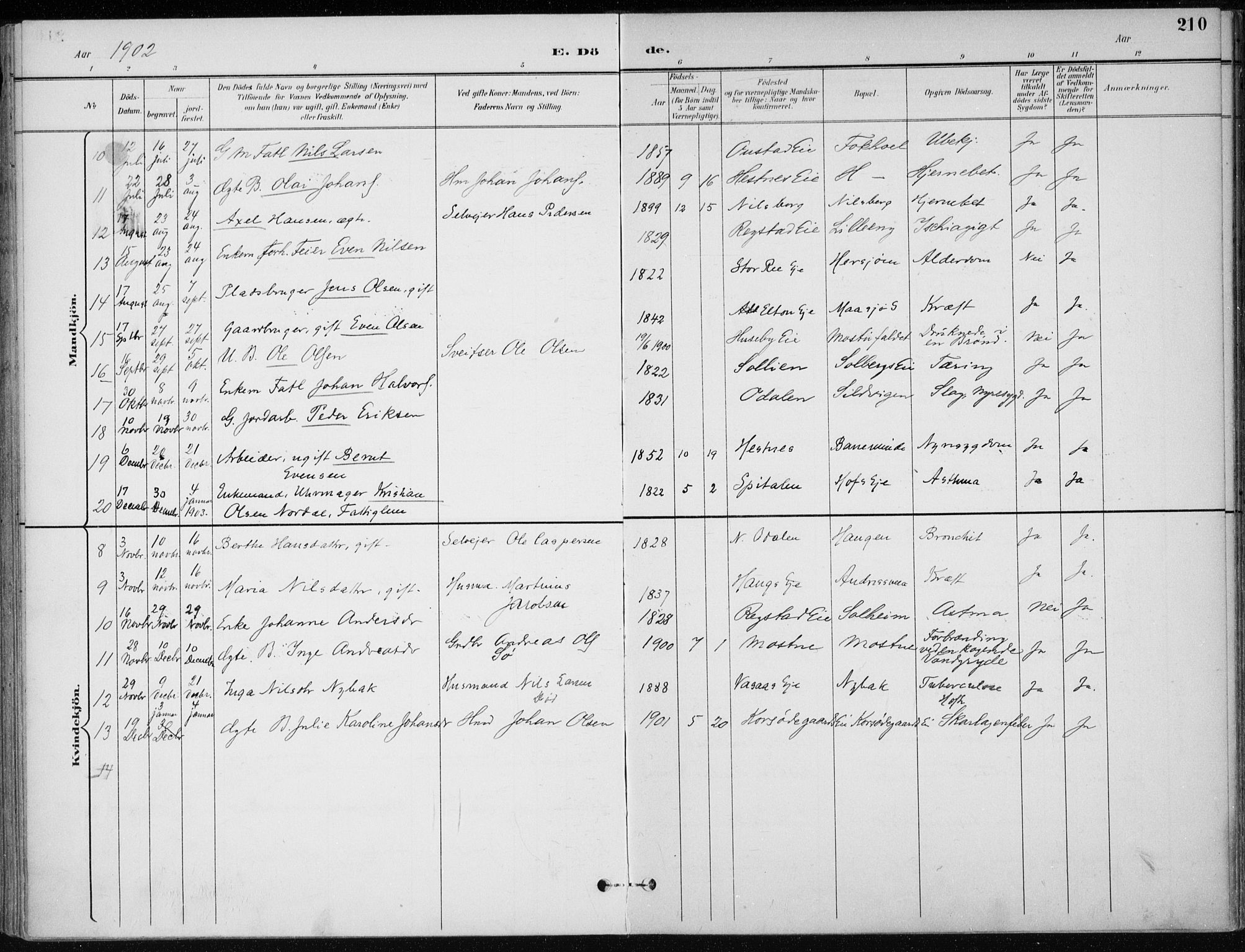 Stange prestekontor, SAH/PREST-002/K/L0023: Parish register (official) no. 23, 1897-1920, p. 210