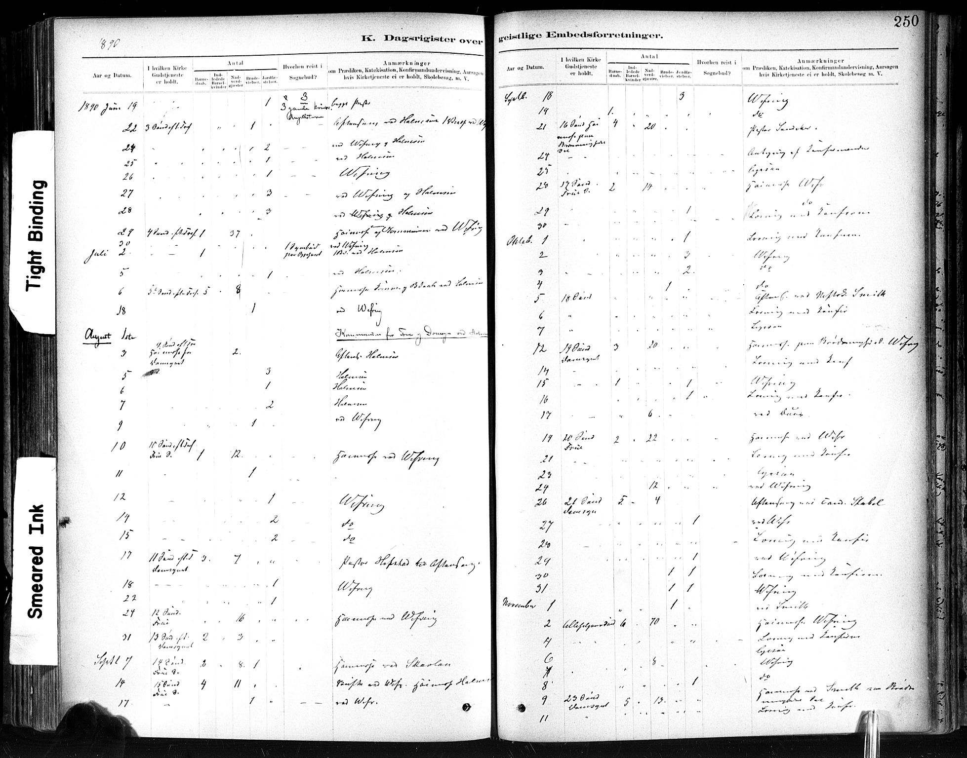 Ministerialprotokoller, klokkerbøker og fødselsregistre - Sør-Trøndelag, AV/SAT-A-1456/602/L0120: Parish register (official) no. 602A18, 1880-1913, p. 250