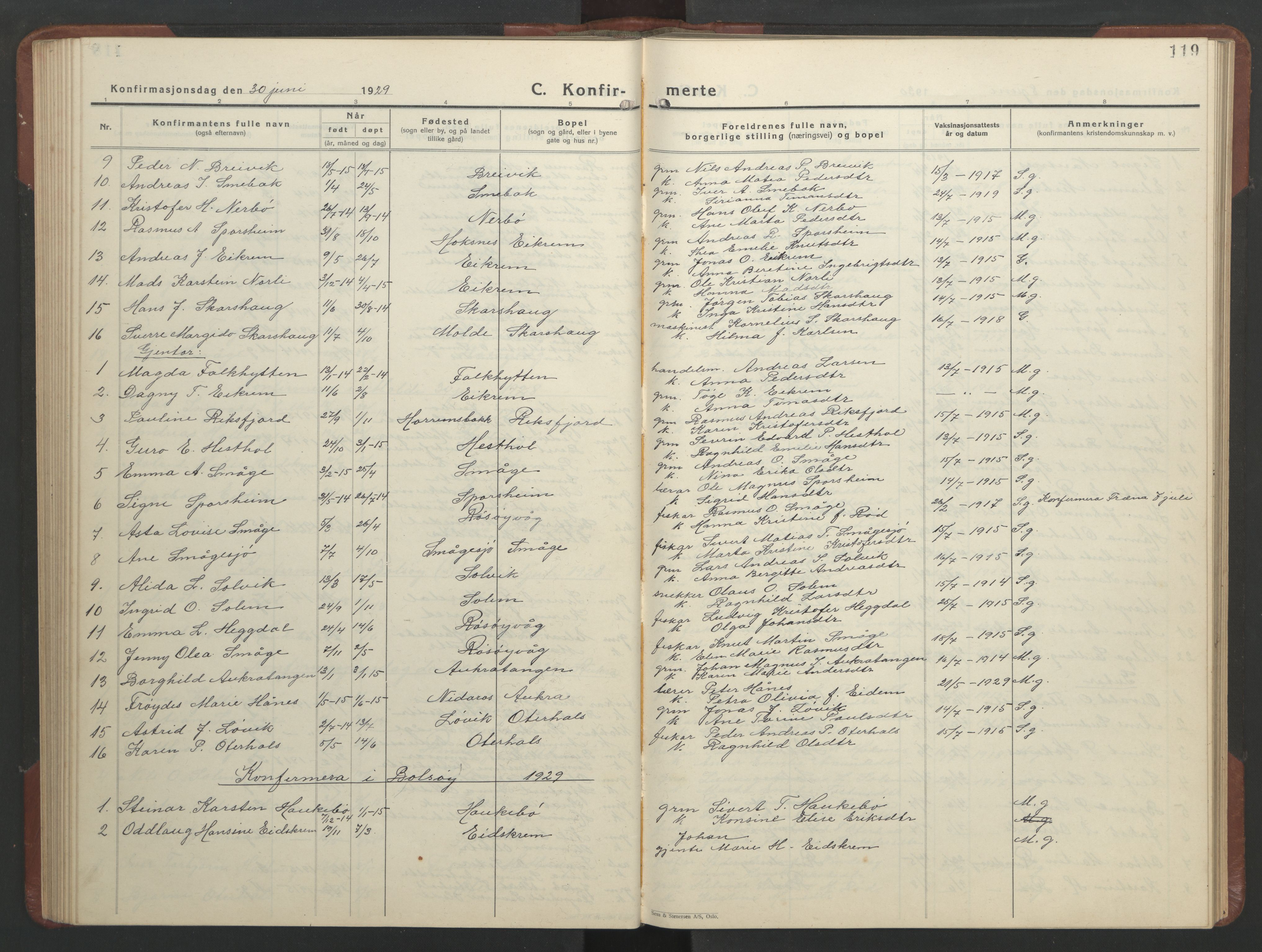 Ministerialprotokoller, klokkerbøker og fødselsregistre - Møre og Romsdal, SAT/A-1454/560/L0726: Parish register (copy) no. 560C03, 1928-1952, p. 119
