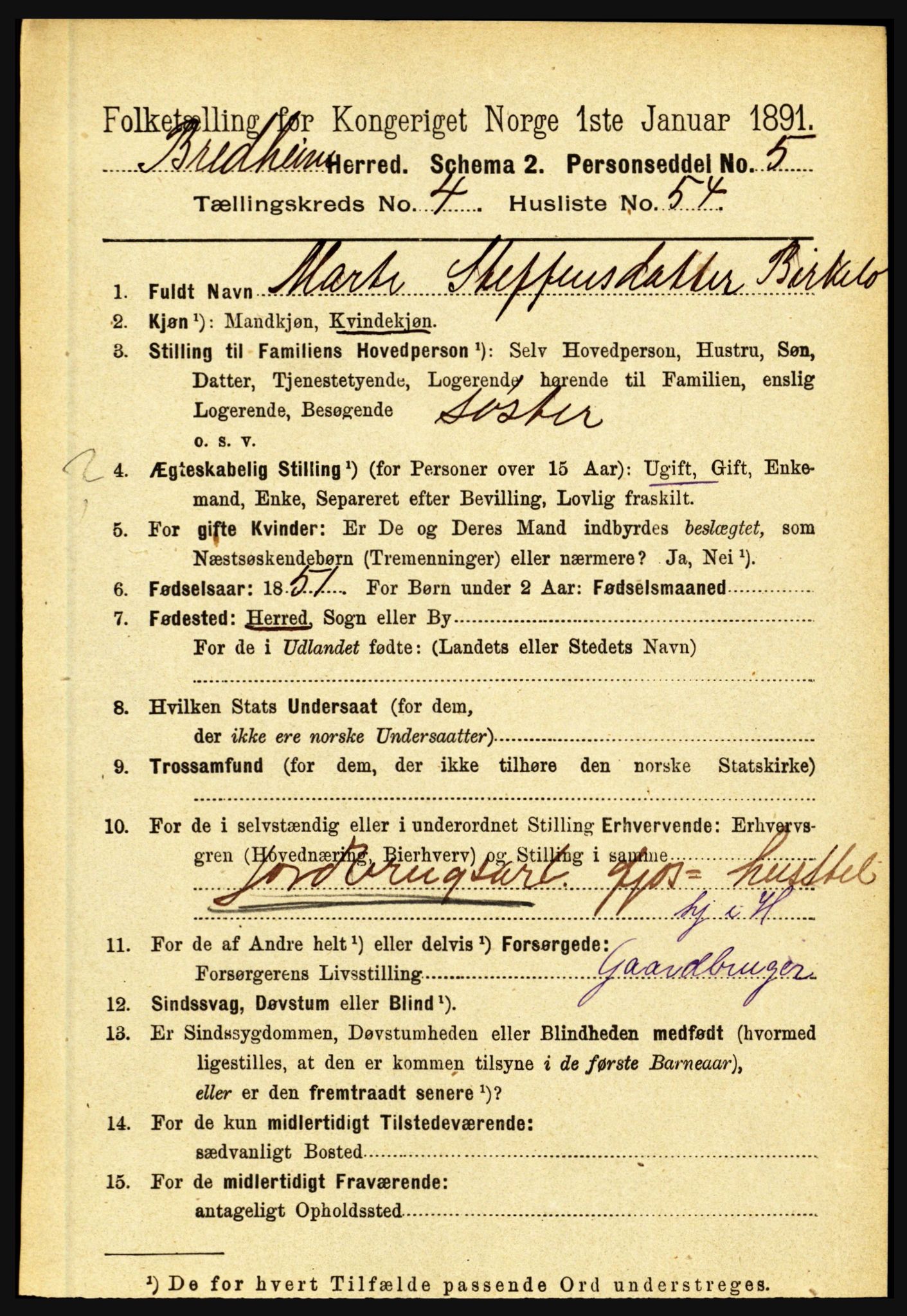 RA, 1891 census for 1446 Breim, 1891, p. 1685