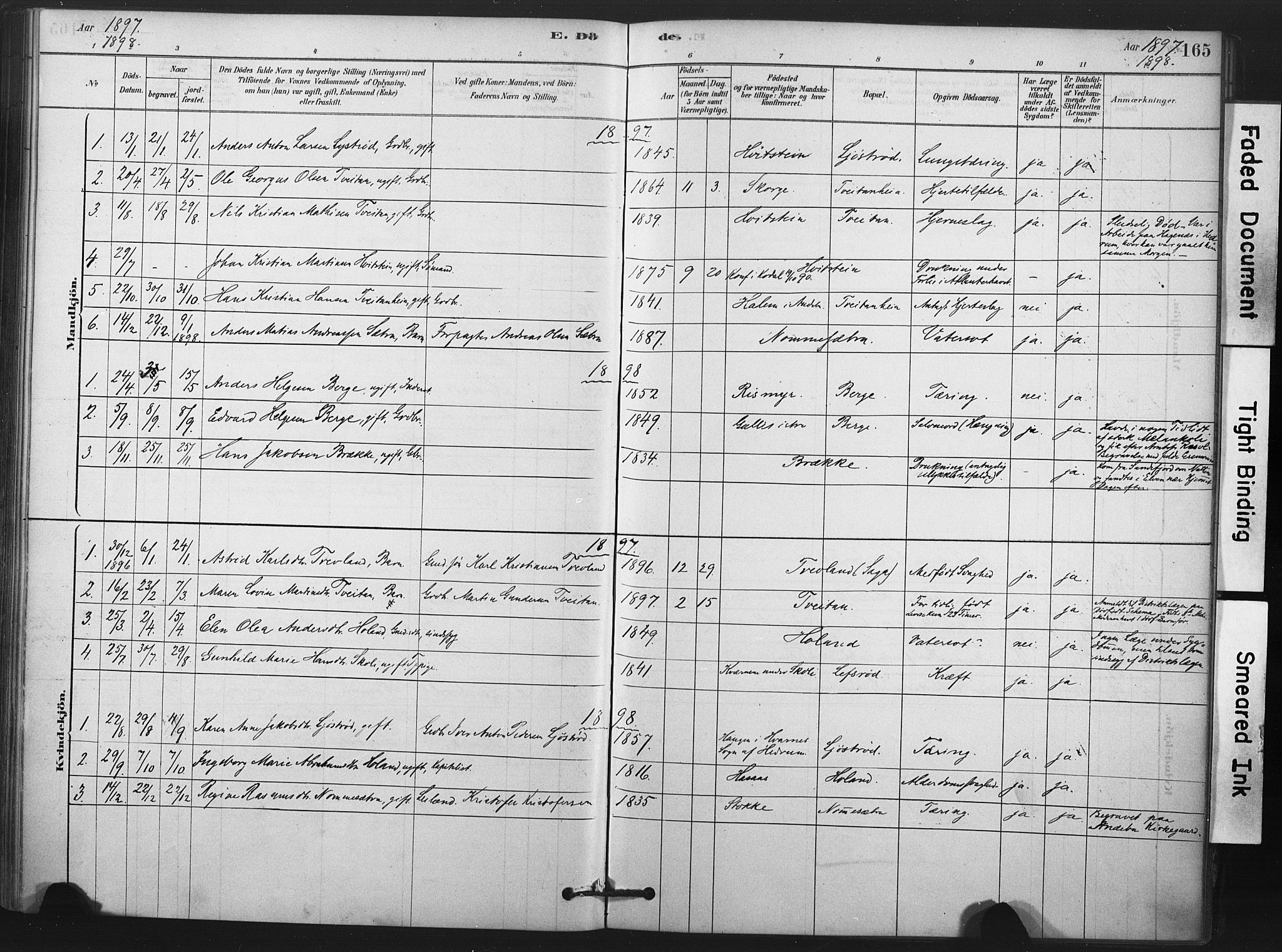 Andebu kirkebøker, AV/SAKO-A-336/F/Fa/L0008: Parish register (official) no. 8, 1878-1902, p. 165