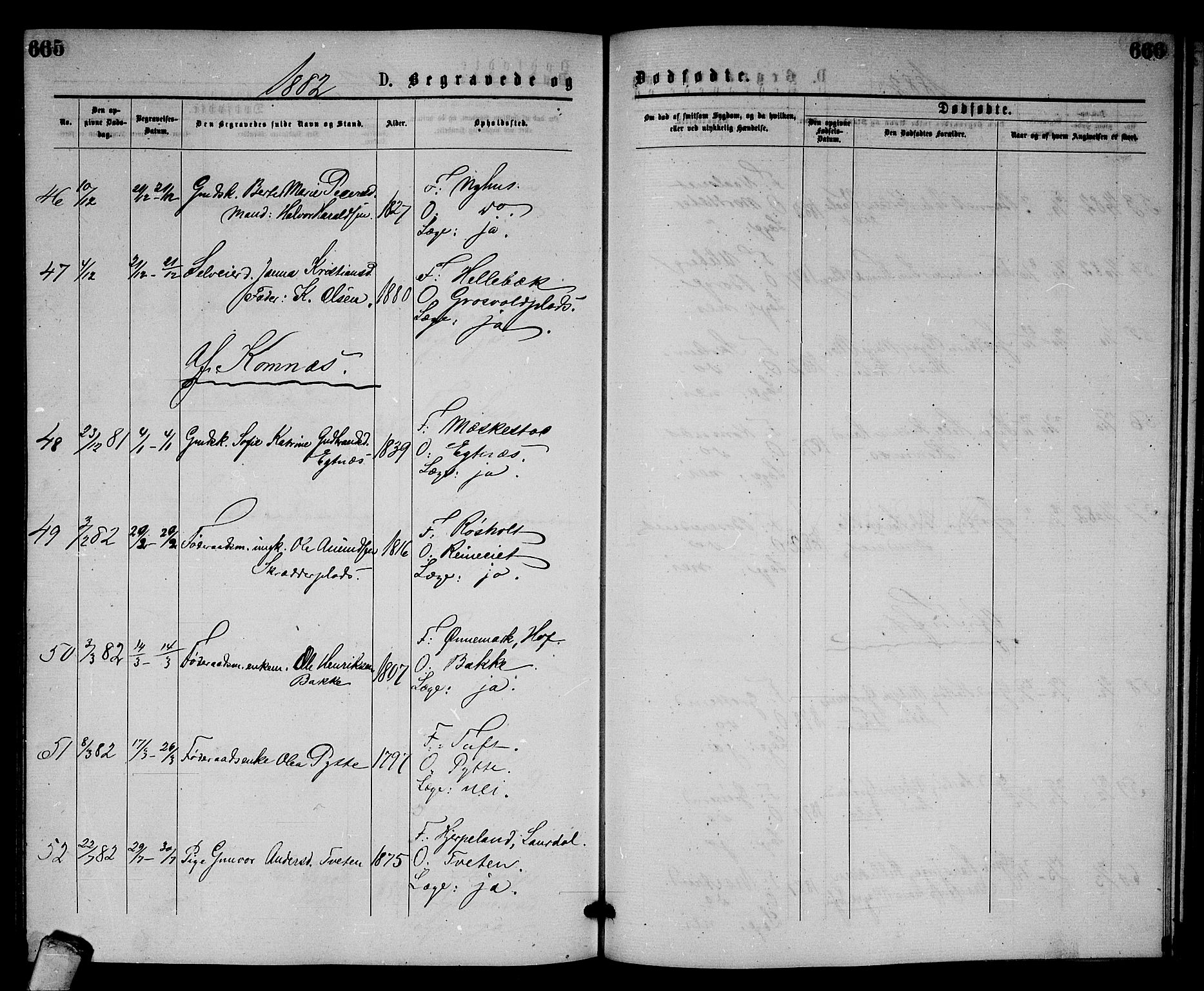 Sandsvær kirkebøker, AV/SAKO-A-244/G/Gb/L0001: Parish register (copy) no. II 1, 1874-1885, p. 665-666