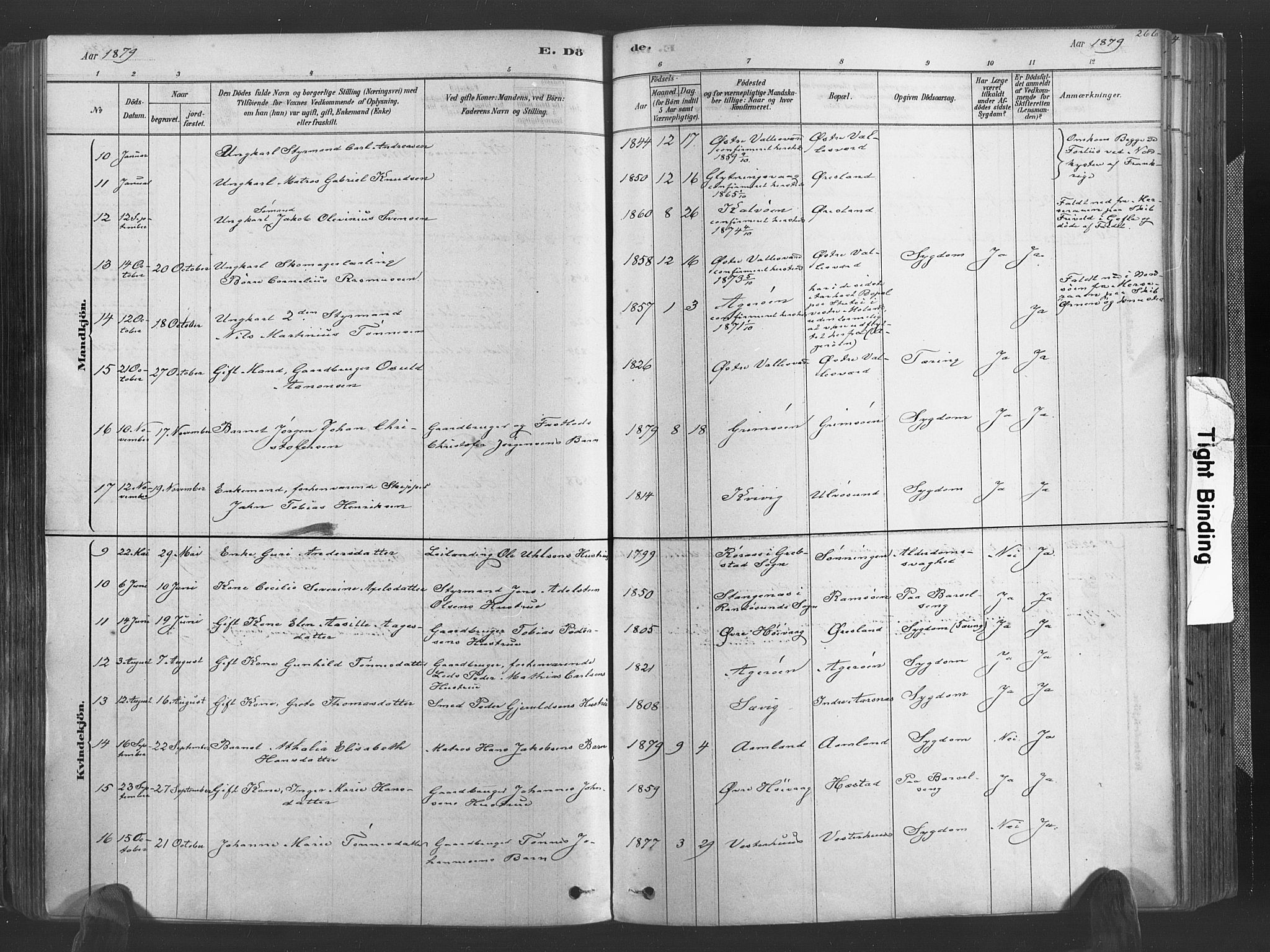 Høvåg sokneprestkontor, SAK/1111-0025/F/Fa/L0005: Parish register (official) no. A 5, 1878-1893, p. 266