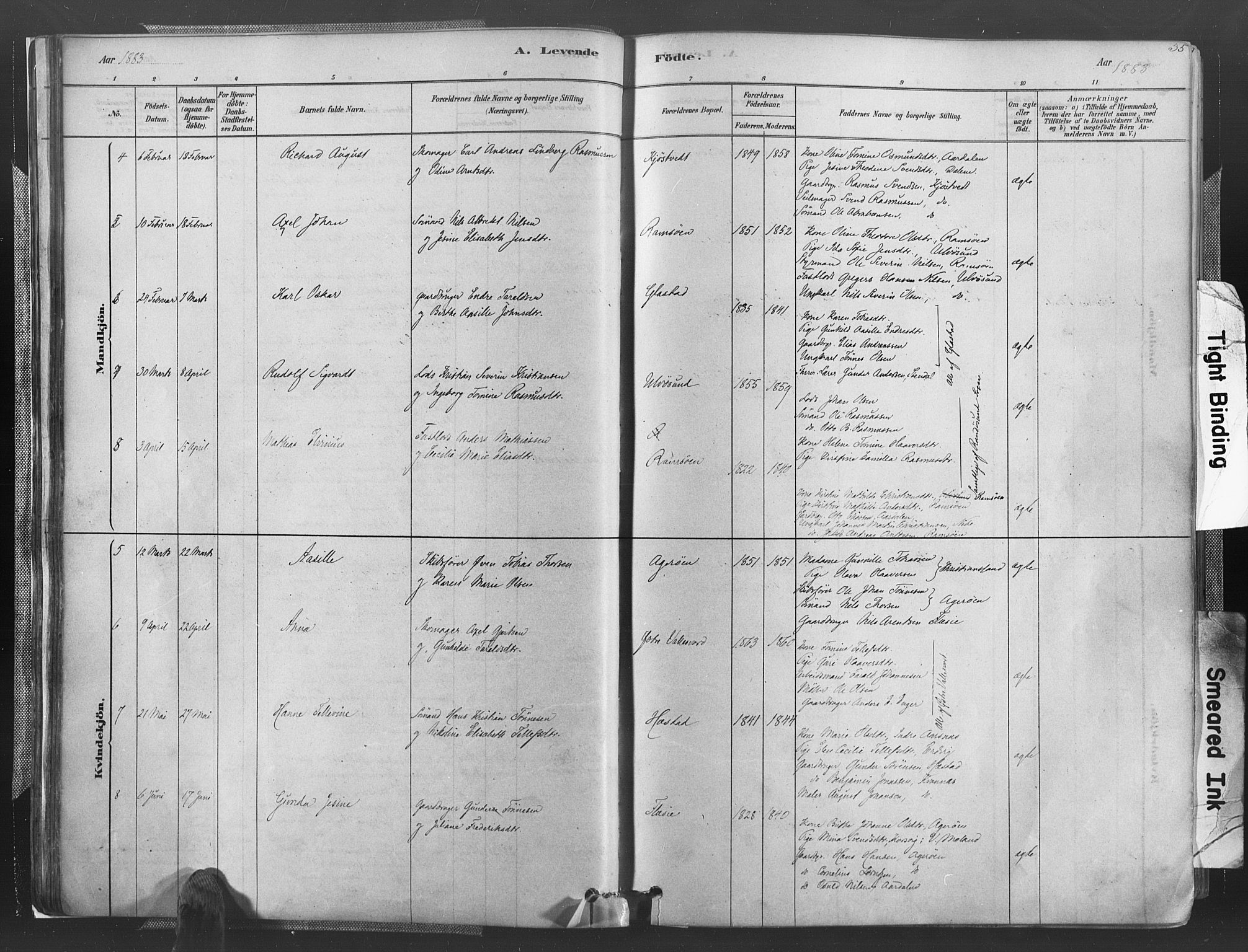 Høvåg sokneprestkontor, AV/SAK-1111-0025/F/Fa/L0005: Parish register (official) no. A 5, 1878-1893, p. 35