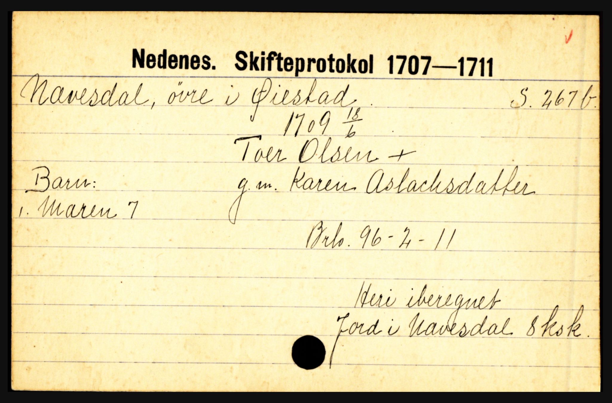 Nedenes sorenskriveri før 1824, AV/SAK-1221-0007/H, p. 22499