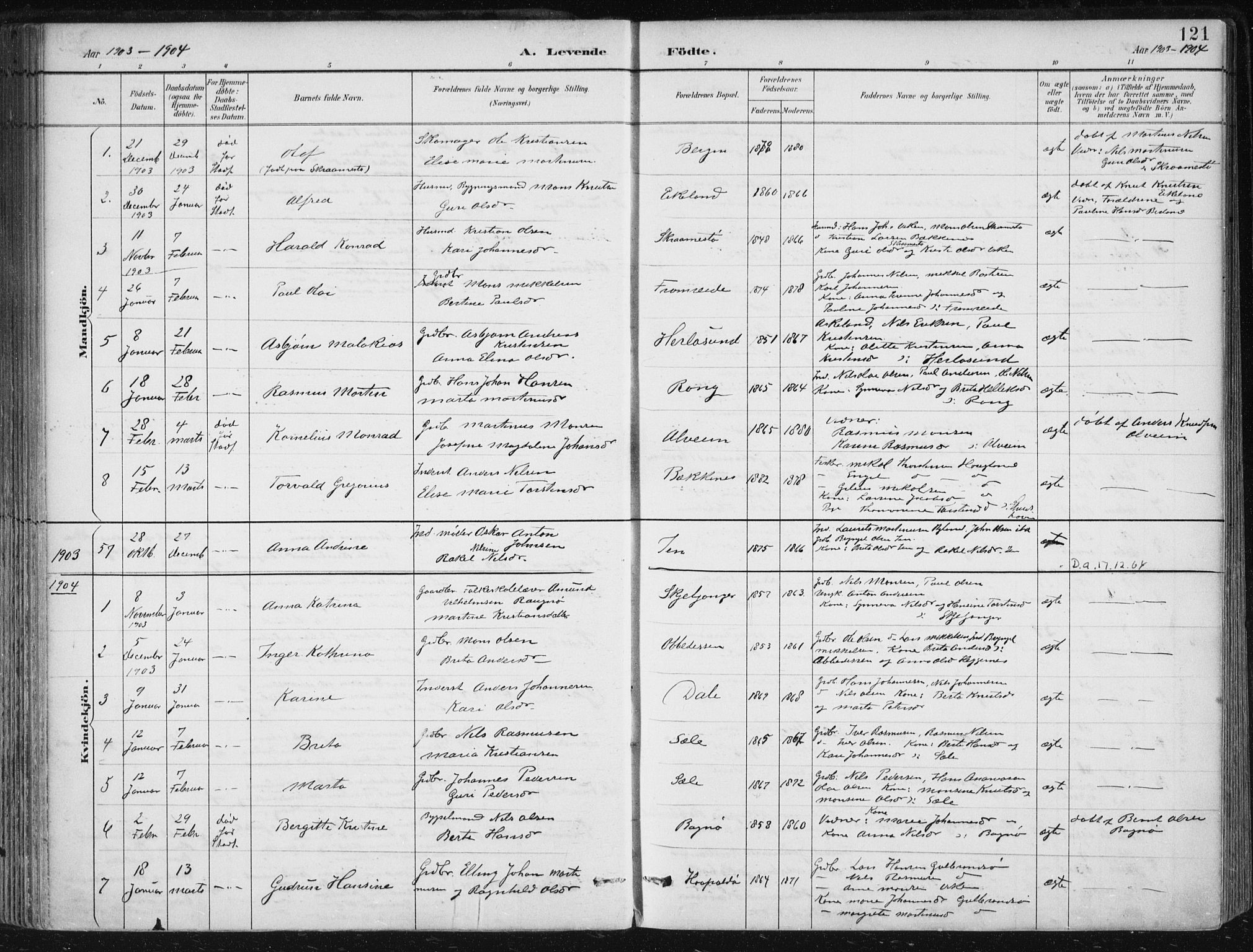 Herdla Sokneprestembete, SAB/A-75701/H/Haa: Parish register (official) no. A 4, 1891-1905, p. 121