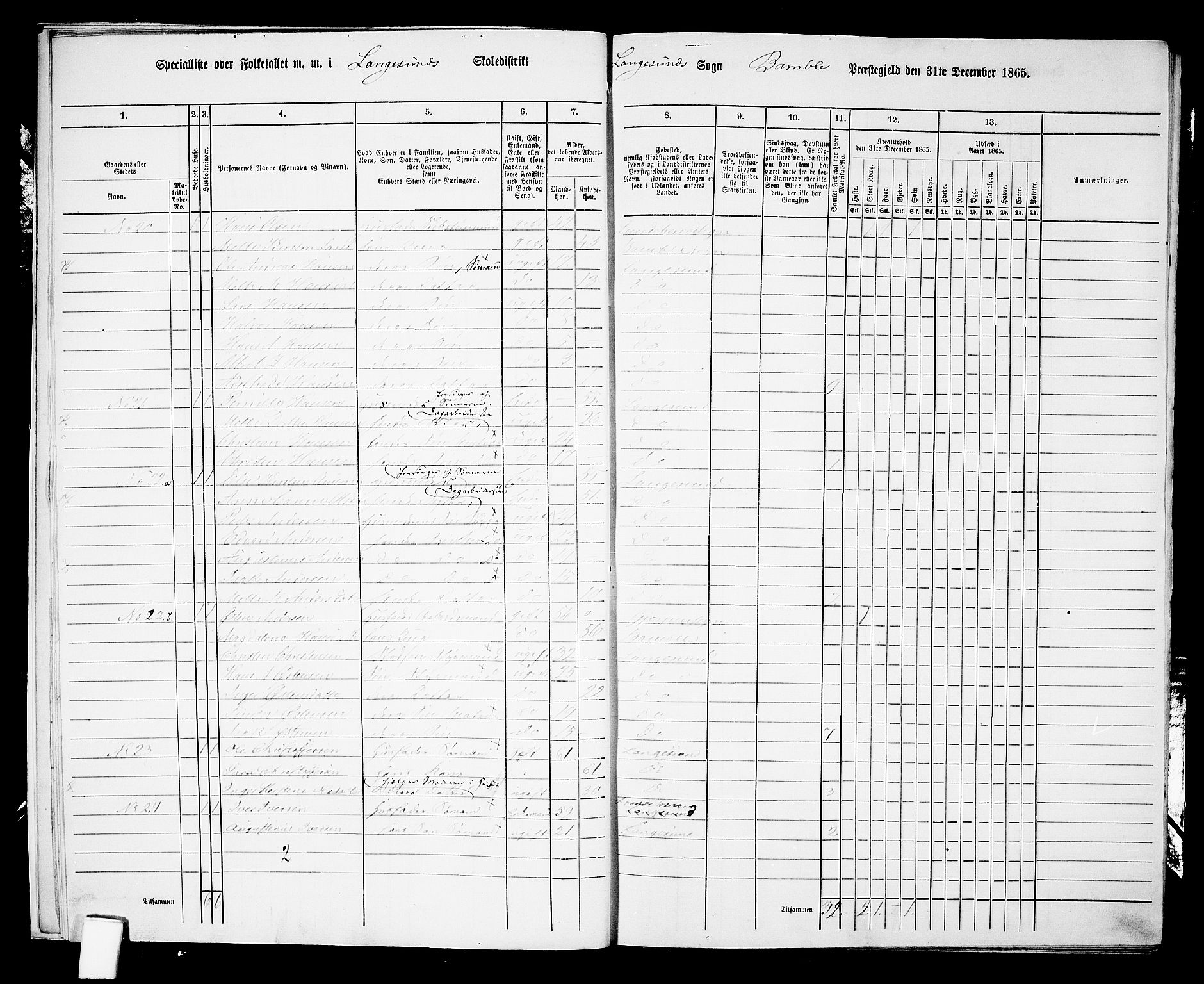 RA, 1865 census for Bamble, 1865, p. 196