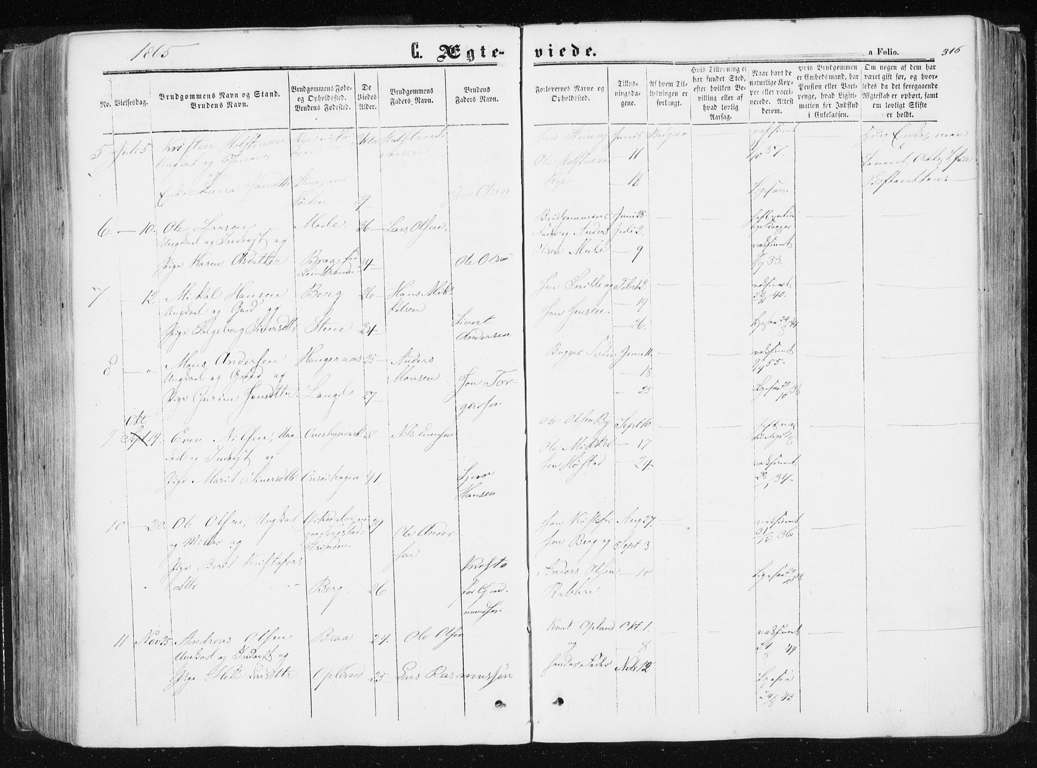 Ministerialprotokoller, klokkerbøker og fødselsregistre - Sør-Trøndelag, SAT/A-1456/612/L0377: Parish register (official) no. 612A09, 1859-1877, p. 316