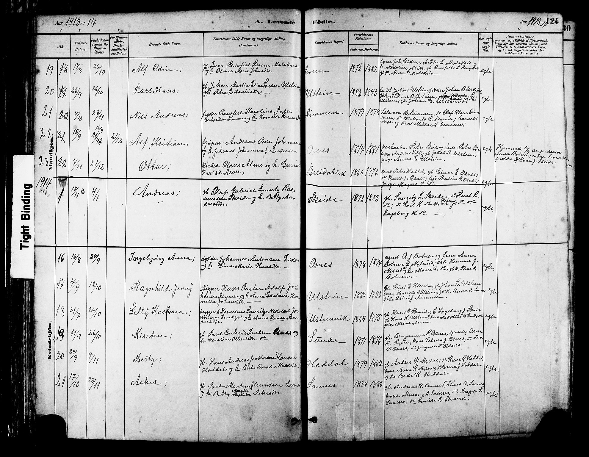 Ministerialprotokoller, klokkerbøker og fødselsregistre - Møre og Romsdal, SAT/A-1454/509/L0112: Parish register (copy) no. 509C02, 1883-1922, p. 124