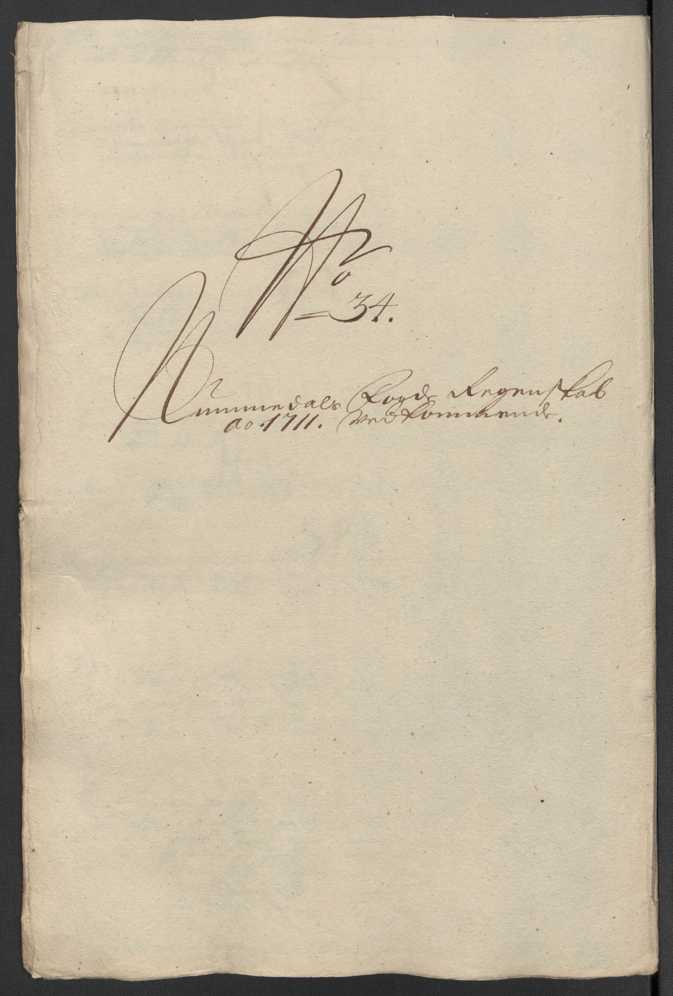 Rentekammeret inntil 1814, Reviderte regnskaper, Fogderegnskap, AV/RA-EA-4092/R64/L4432: Fogderegnskap Namdal, 1711, p. 411