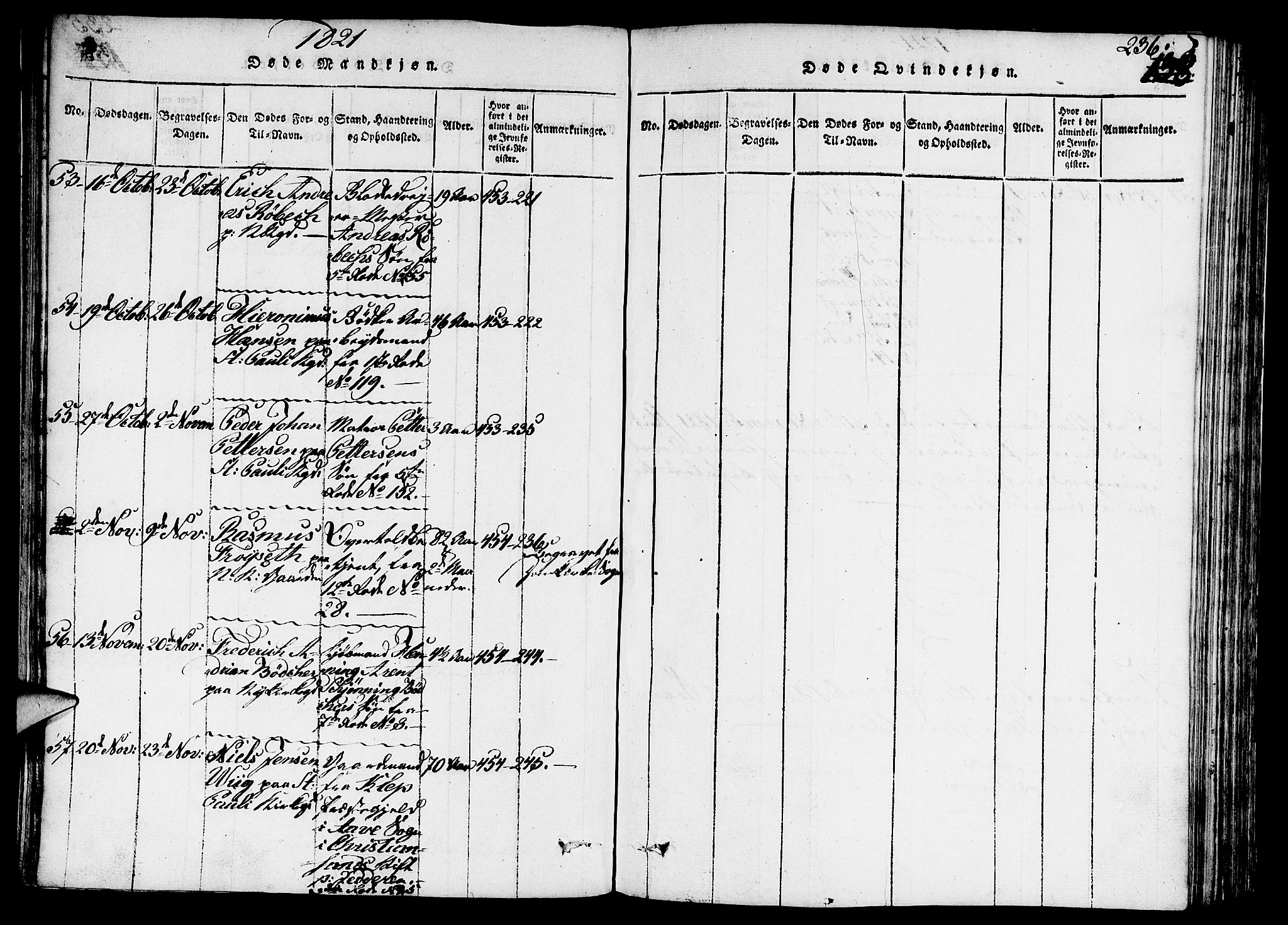 Nykirken Sokneprestembete, SAB/A-77101/H/Hab/L0003: Parish register (copy) no. A 4, 1816-1821, p. 236