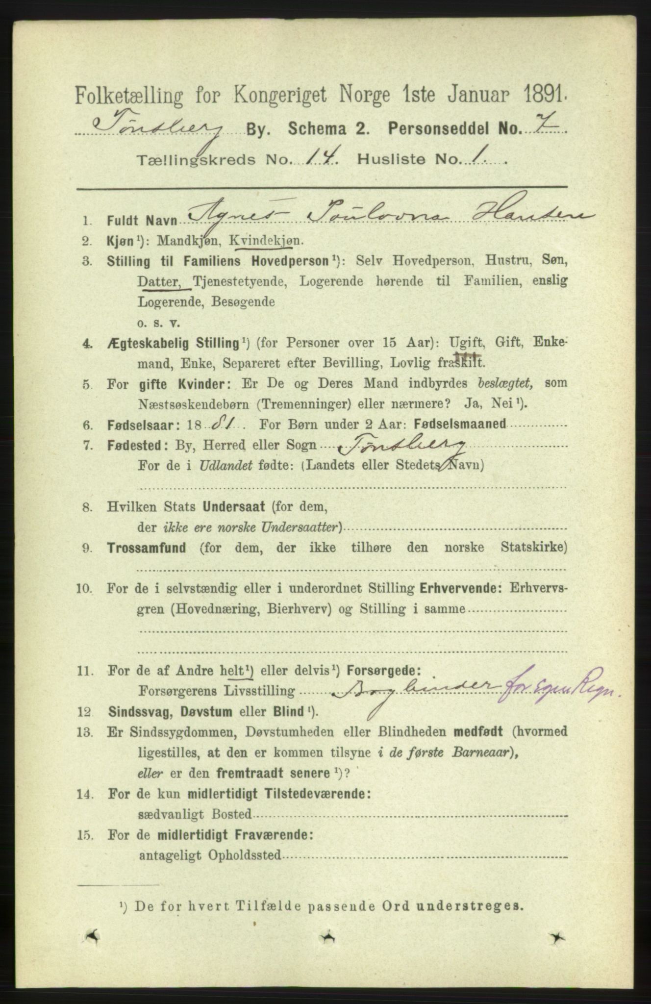 RA, 1891 census for 0705 Tønsberg, 1891, p. 4519