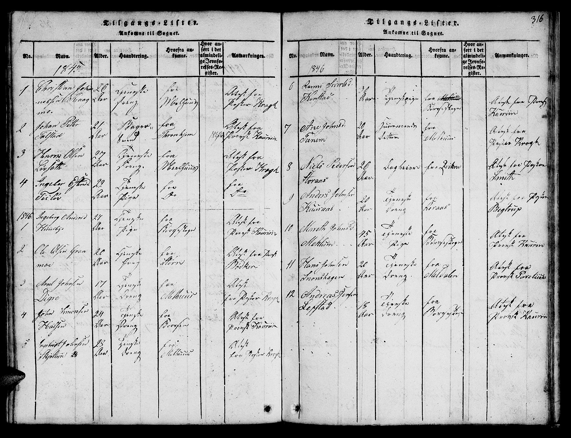 Ministerialprotokoller, klokkerbøker og fødselsregistre - Sør-Trøndelag, SAT/A-1456/666/L0788: Parish register (copy) no. 666C01, 1816-1847, p. 316
