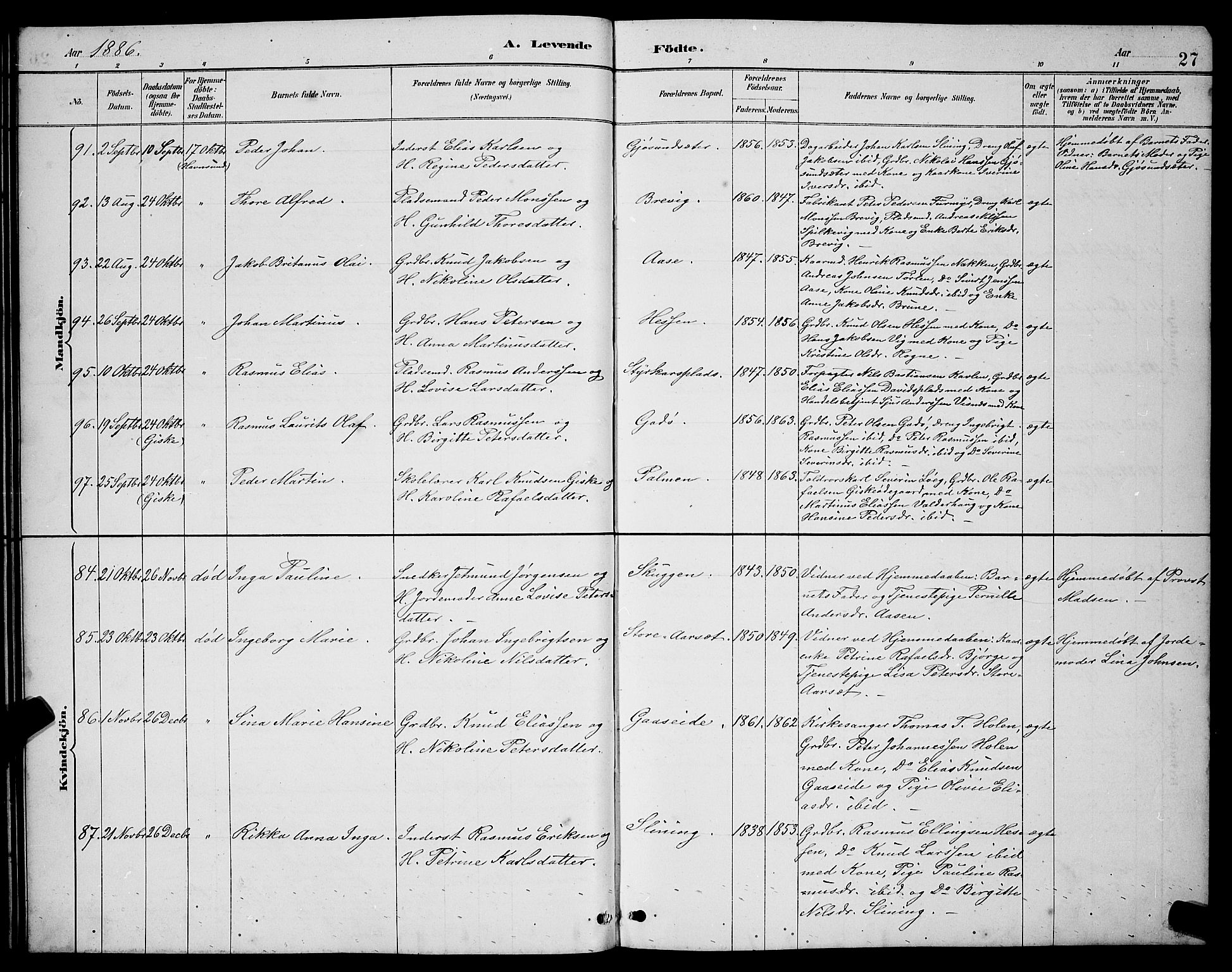 Ministerialprotokoller, klokkerbøker og fødselsregistre - Møre og Romsdal, AV/SAT-A-1454/528/L0431: Parish register (copy) no. 528C12, 1885-1898, p. 27