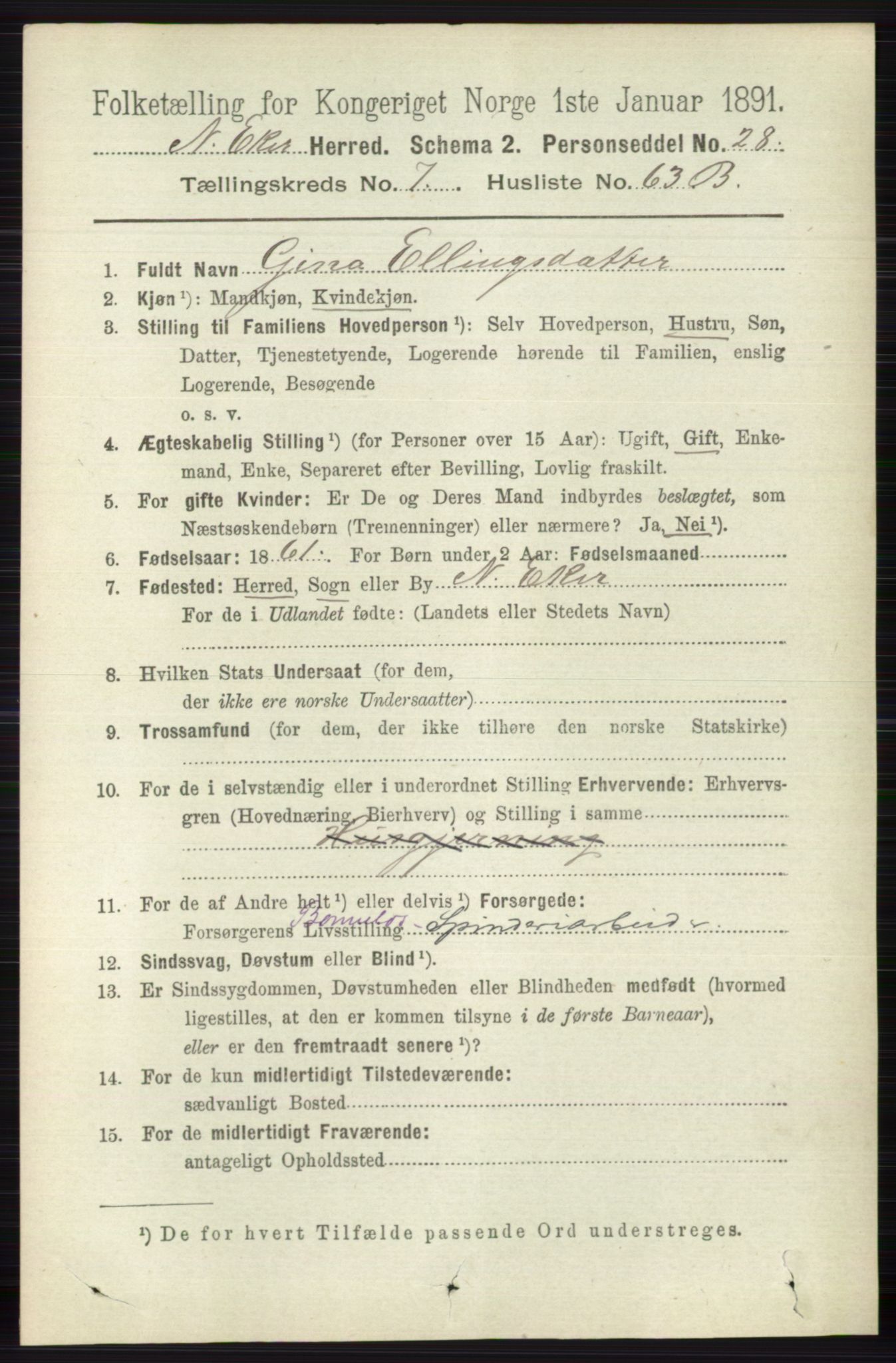 RA, 1891 census for 0625 Nedre Eiker, 1891, p. 3889