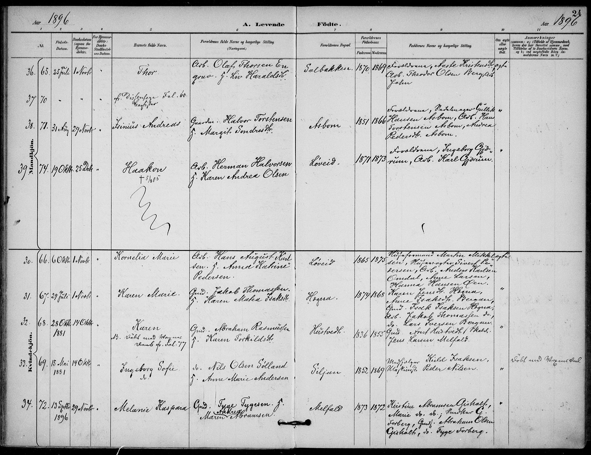 Solum kirkebøker, AV/SAKO-A-306/F/Fb/L0002: Parish register (official) no. II 2, 1893-1901, p. 24