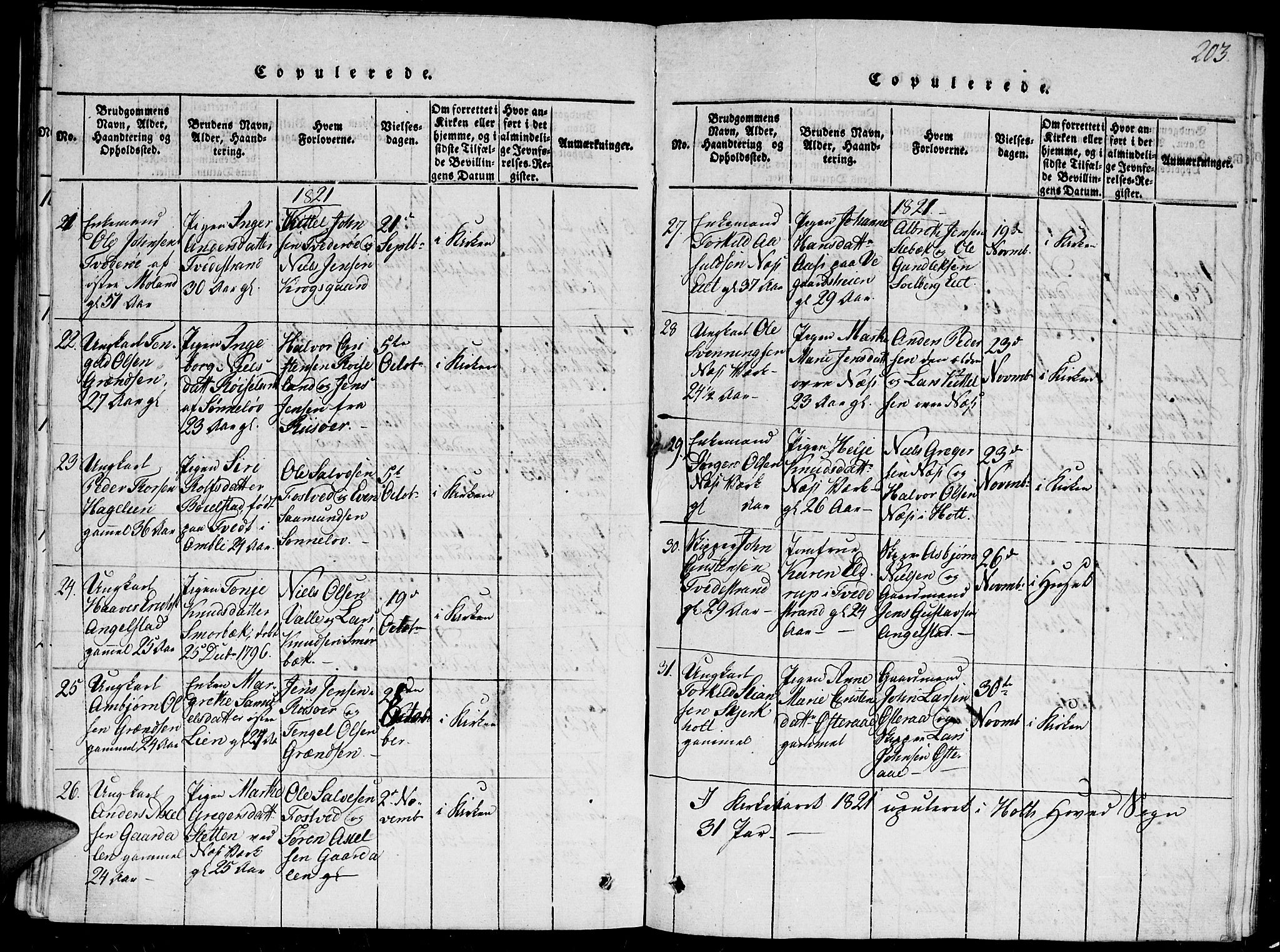 Holt sokneprestkontor, AV/SAK-1111-0021/F/Fb/L0006: Parish register (copy) no. B 6, 1813-1823, p. 203