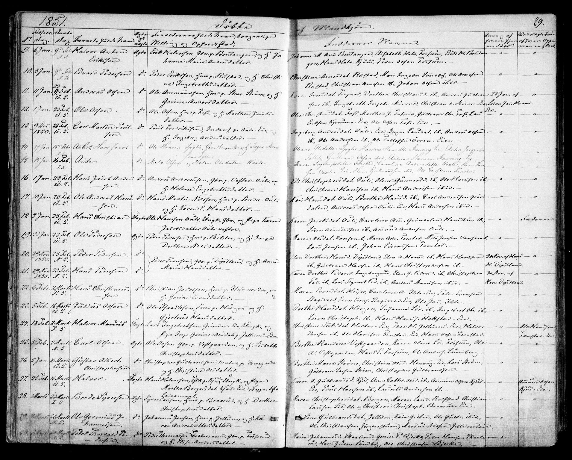 Nes prestekontor Kirkebøker, AV/SAO-A-10410/F/Fa/L0007: Parish register (official) no. I 7, 1846-1858, p. 29