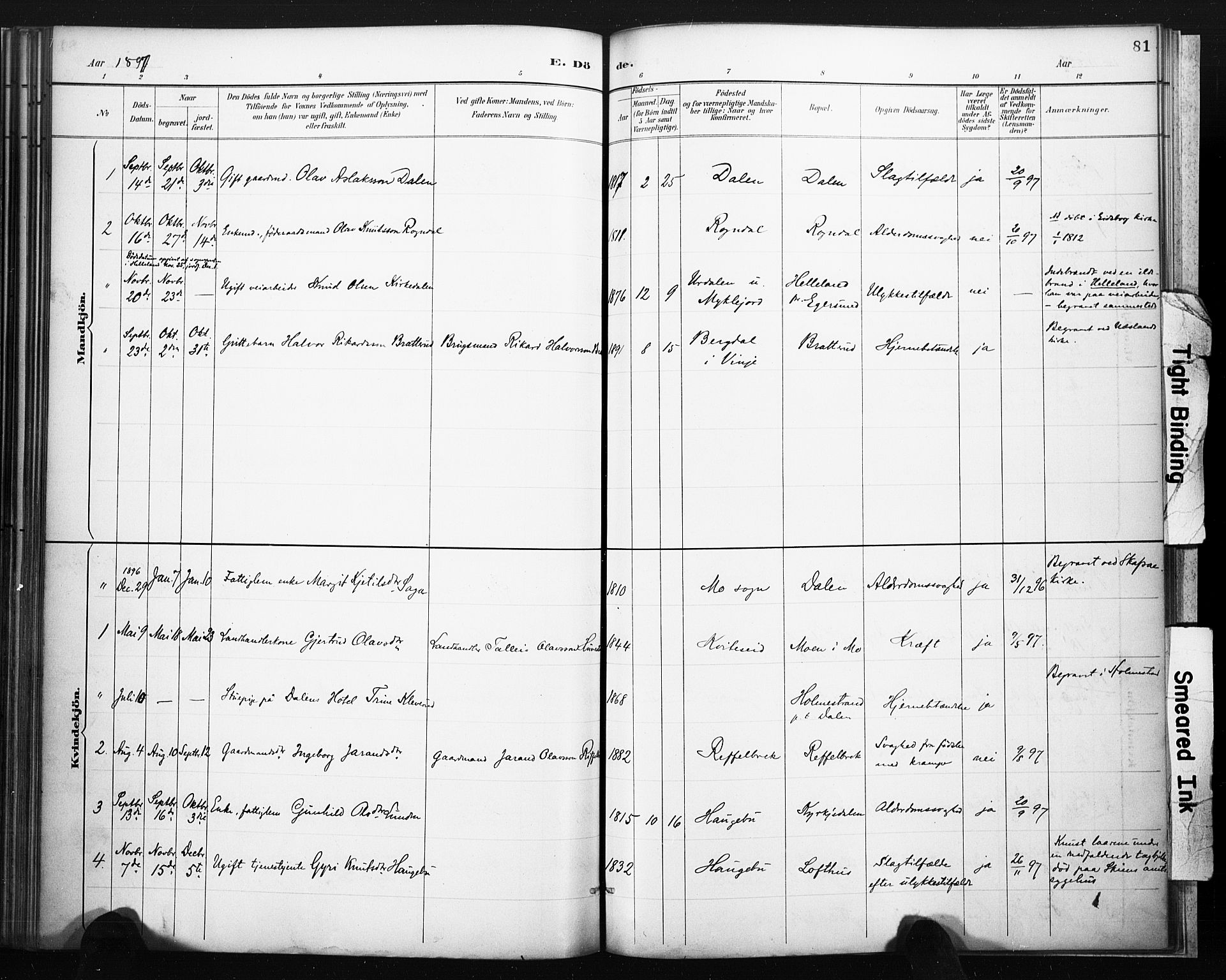 Lårdal kirkebøker, SAKO/A-284/F/Fb/L0002: Parish register (official) no. II 2, 1887-1918, p. 81