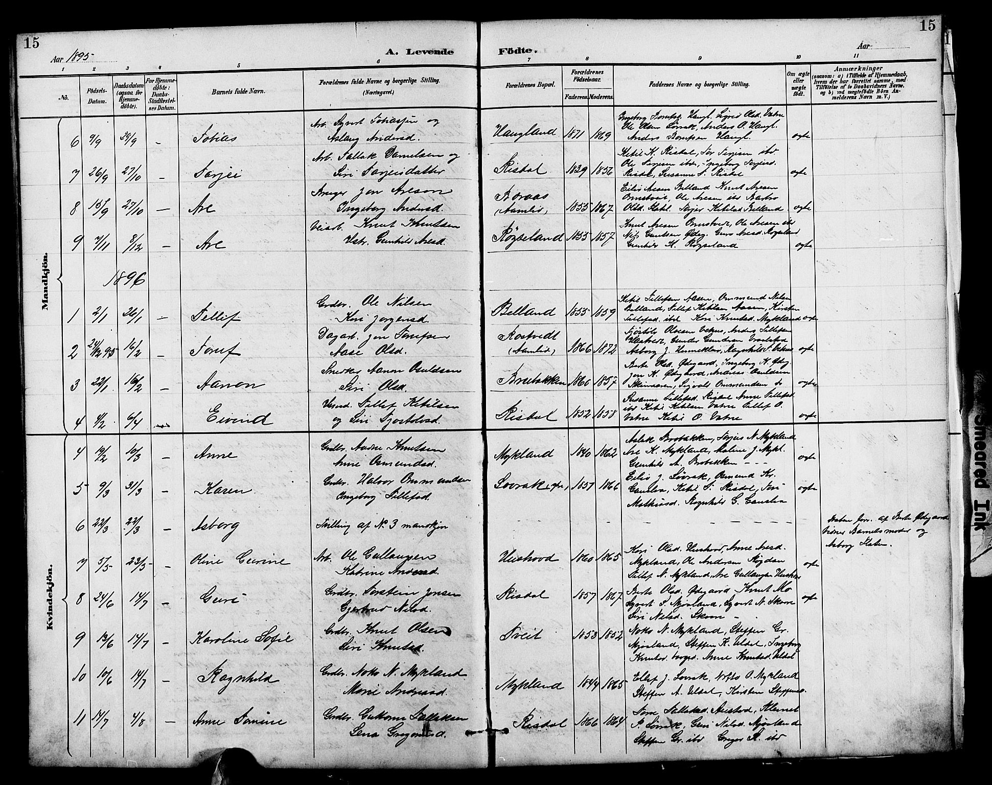 Herefoss sokneprestkontor, AV/SAK-1111-0019/F/Fb/Fbc/L0003: Parish register (copy) no. B 3, 1887-1915, p. 15