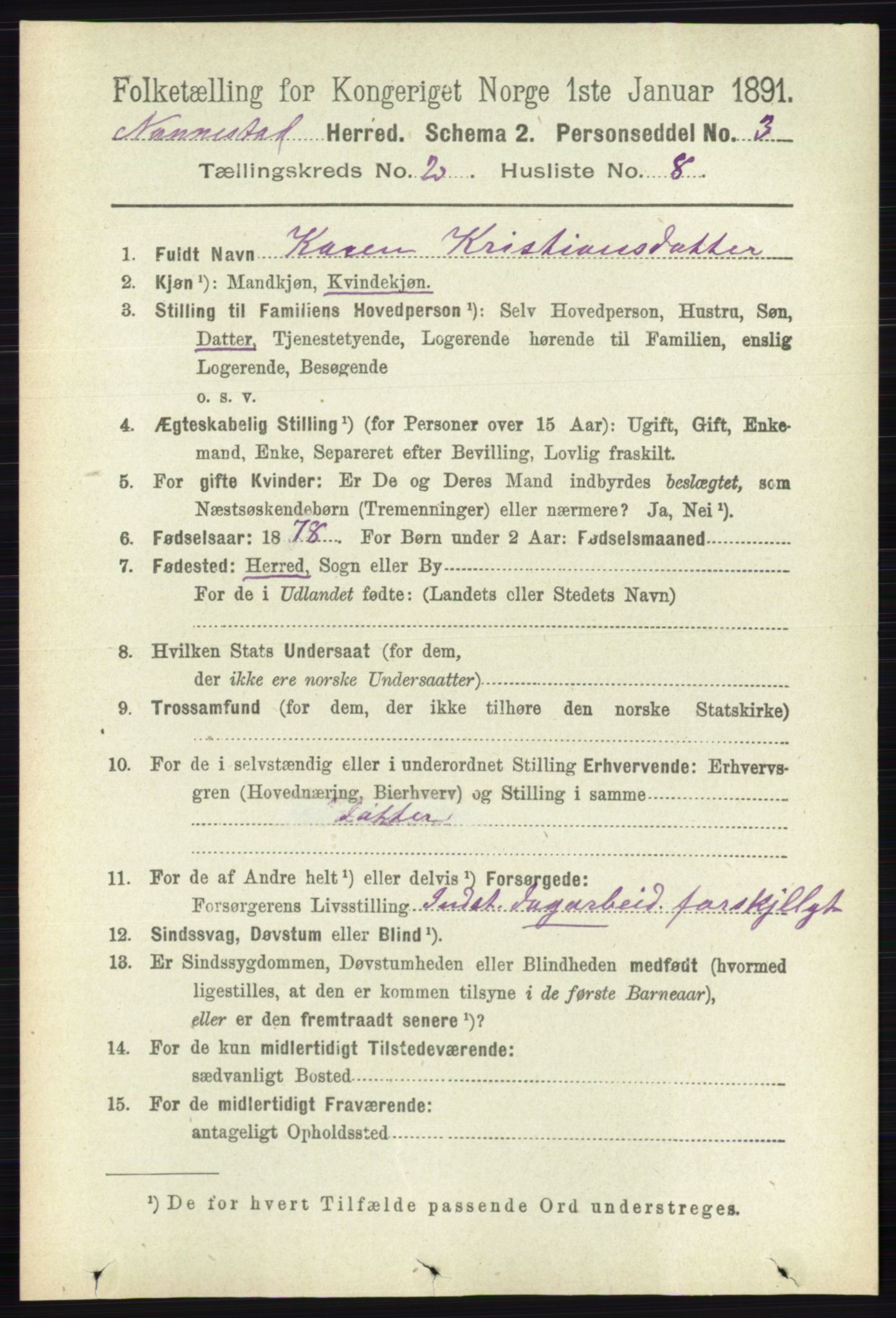 RA, 1891 census for 0238 Nannestad, 1891, p. 916