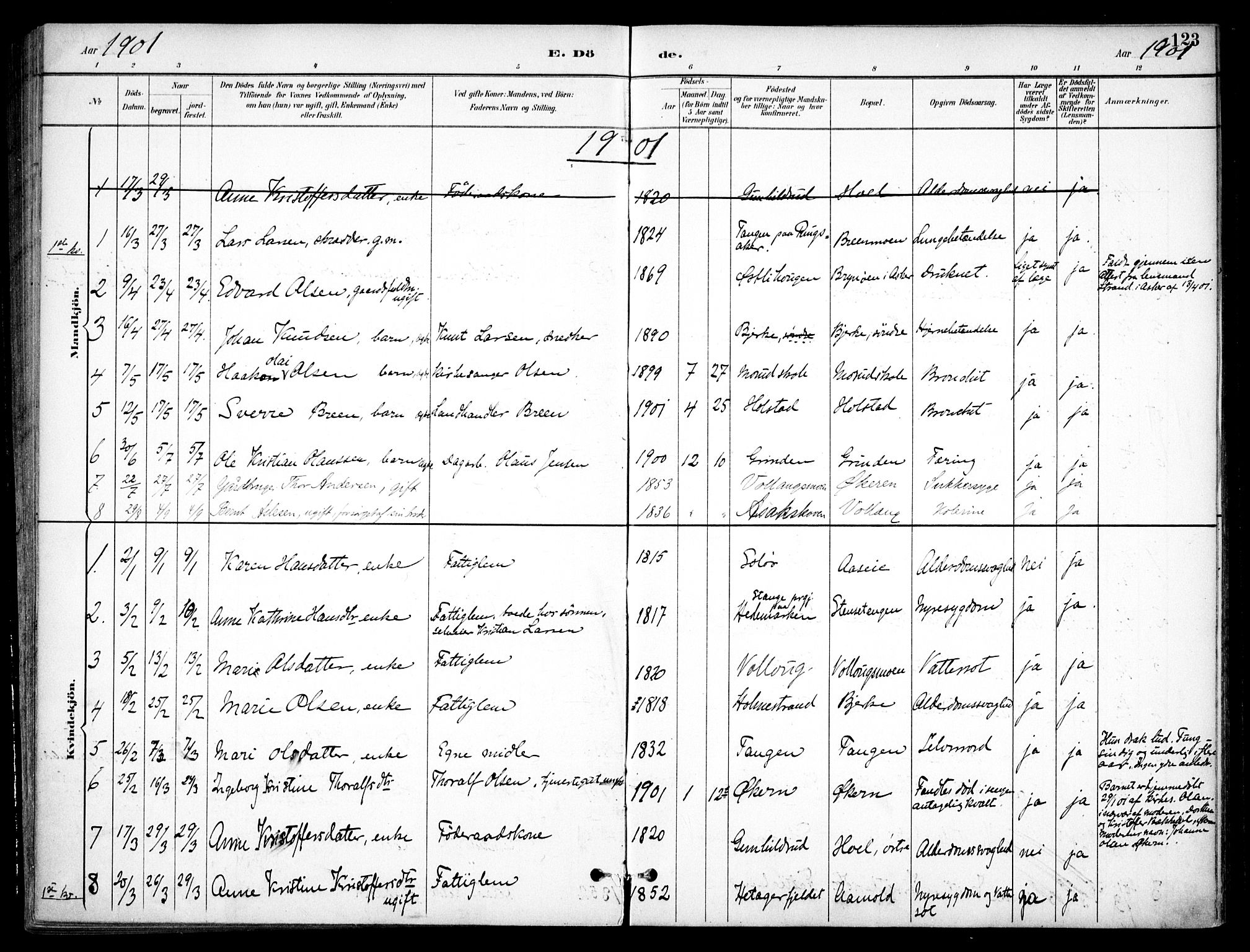 Nannestad prestekontor Kirkebøker, SAO/A-10414a/F/Fc/L0002: Parish register (official) no. III 2, 1893-1907, p. 123